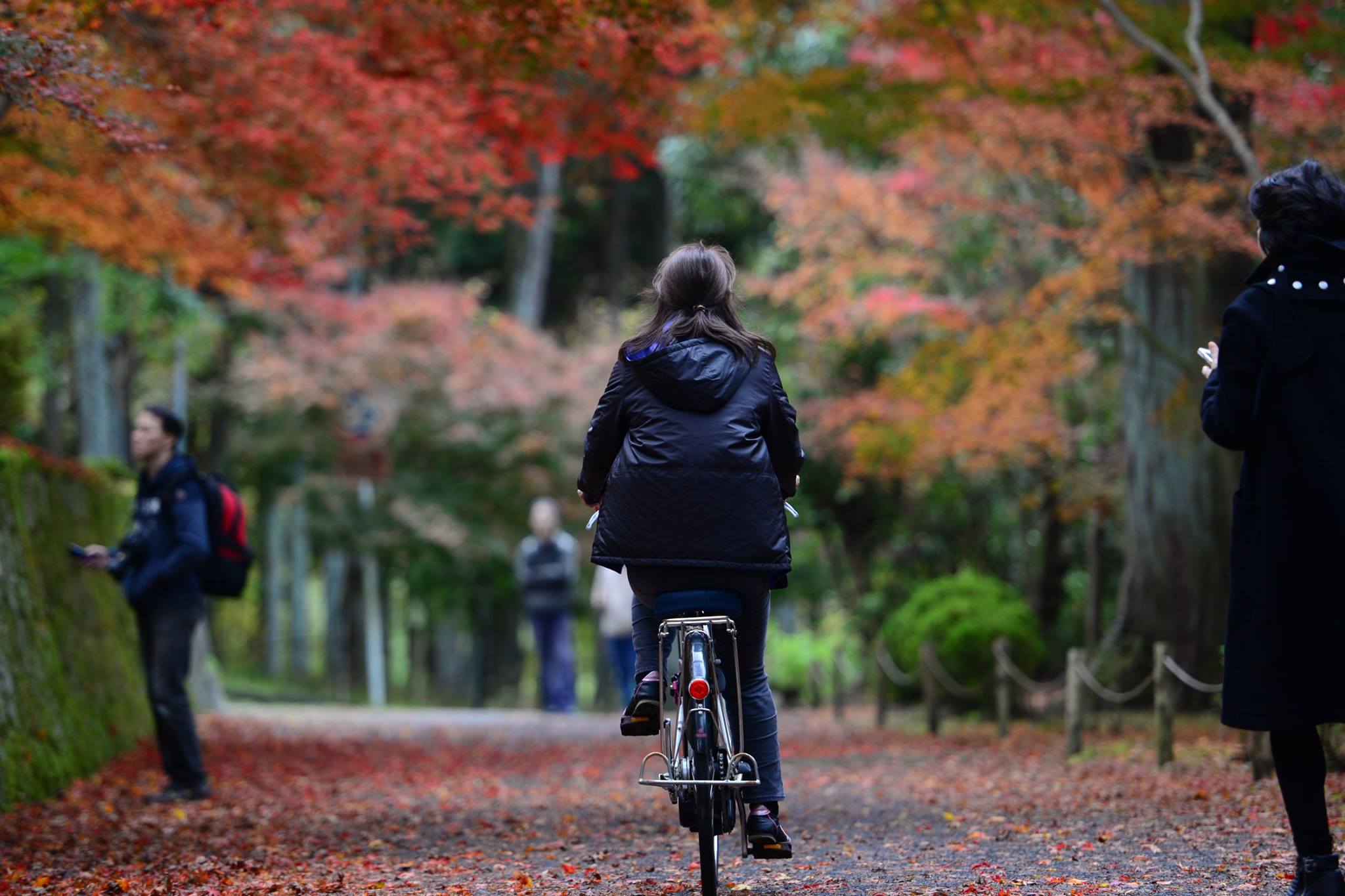 16586985_1738250839837240_8417936655087641536_o