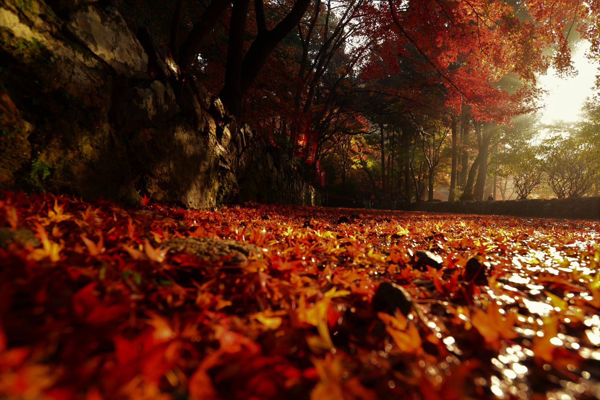 16587120_1738761309786193_3604083678891836950_o