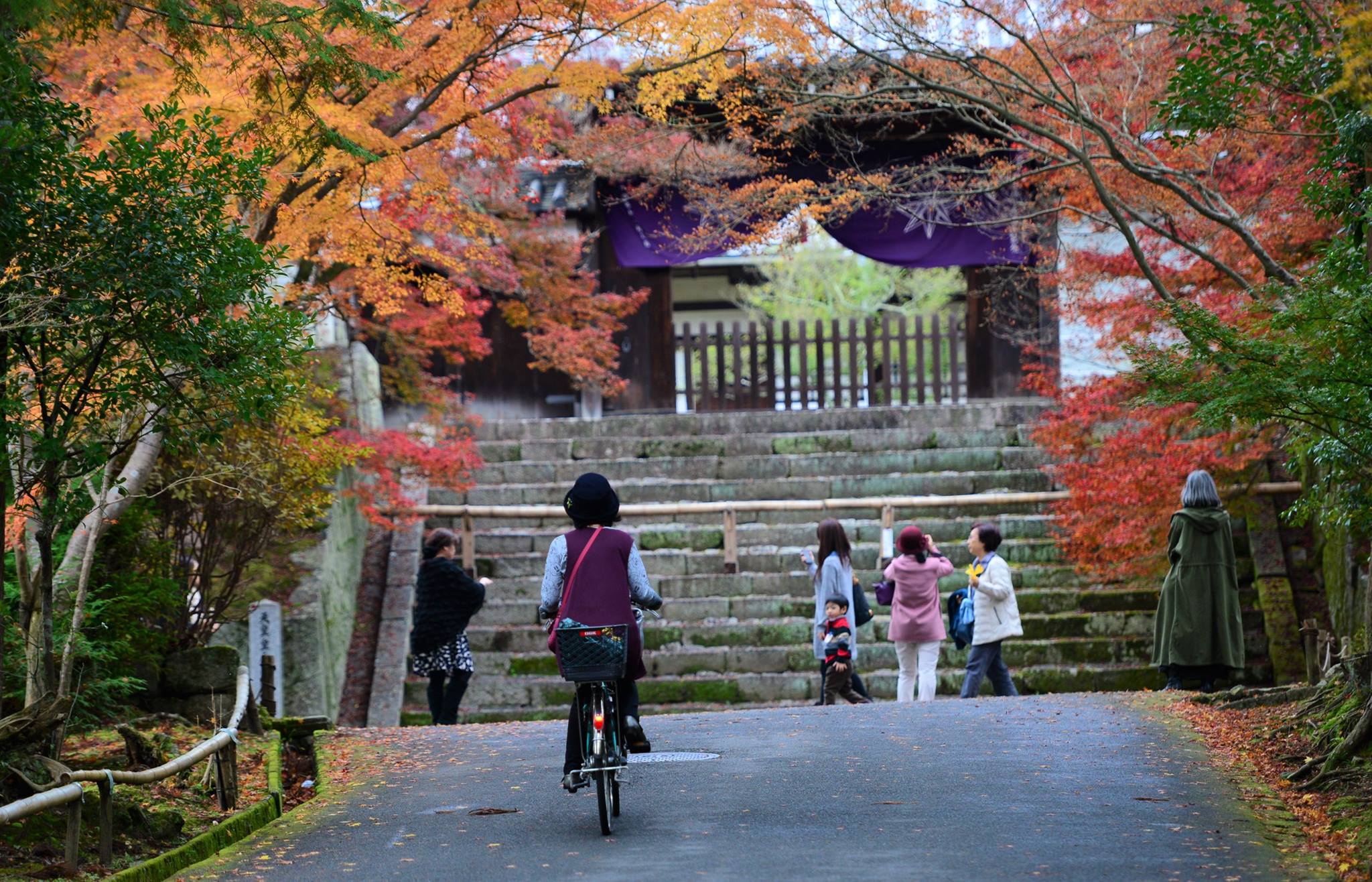 16587244_1738250769837247_5661846929768556848_o