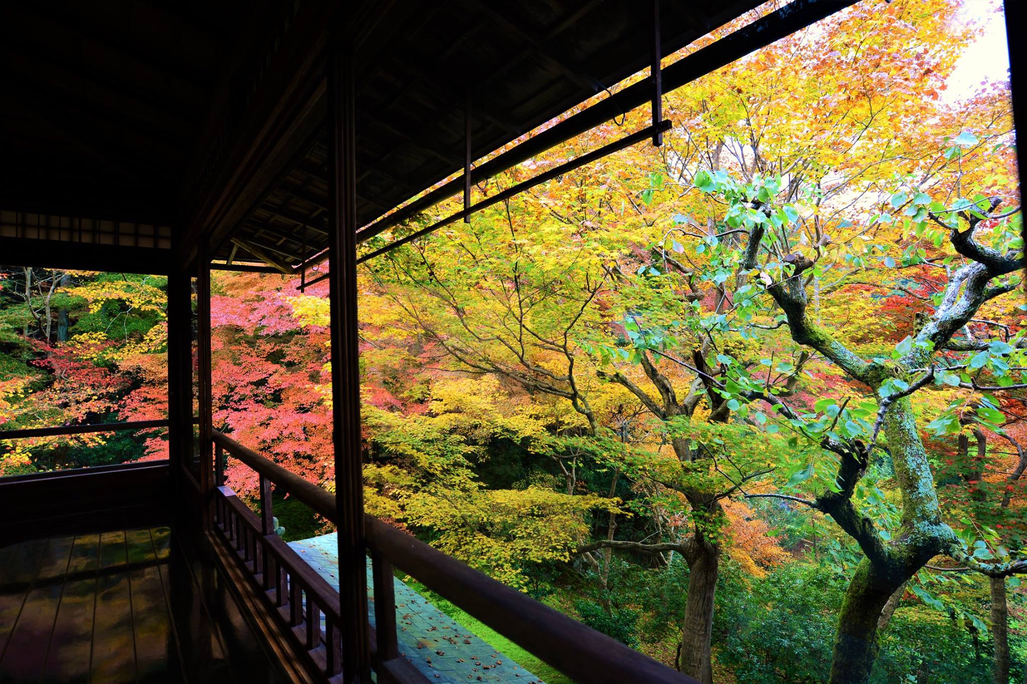 16587308_1737186719943652_3099202062789105795_o