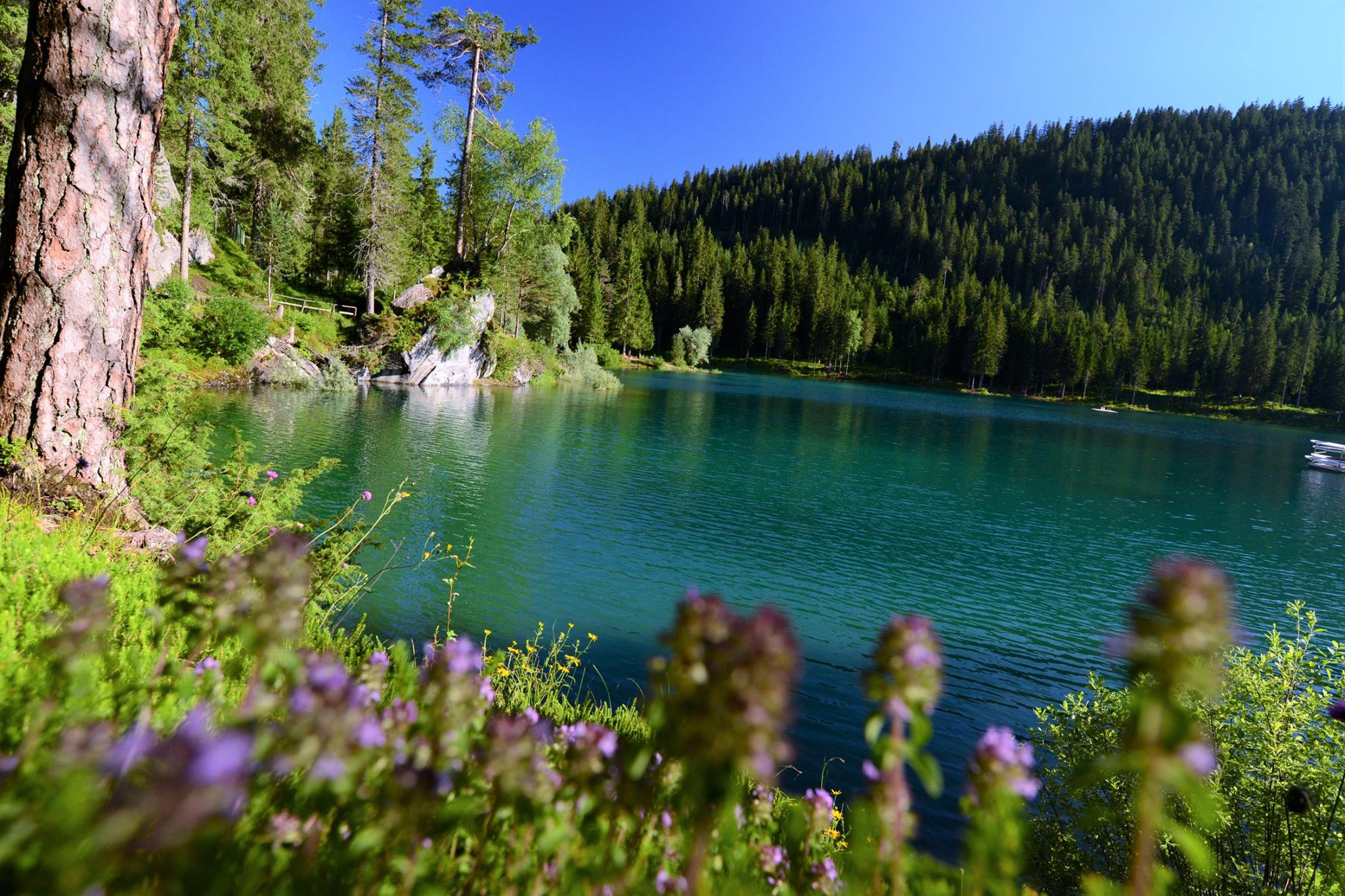 16587323_1735144783481179_8417210071320105241_o