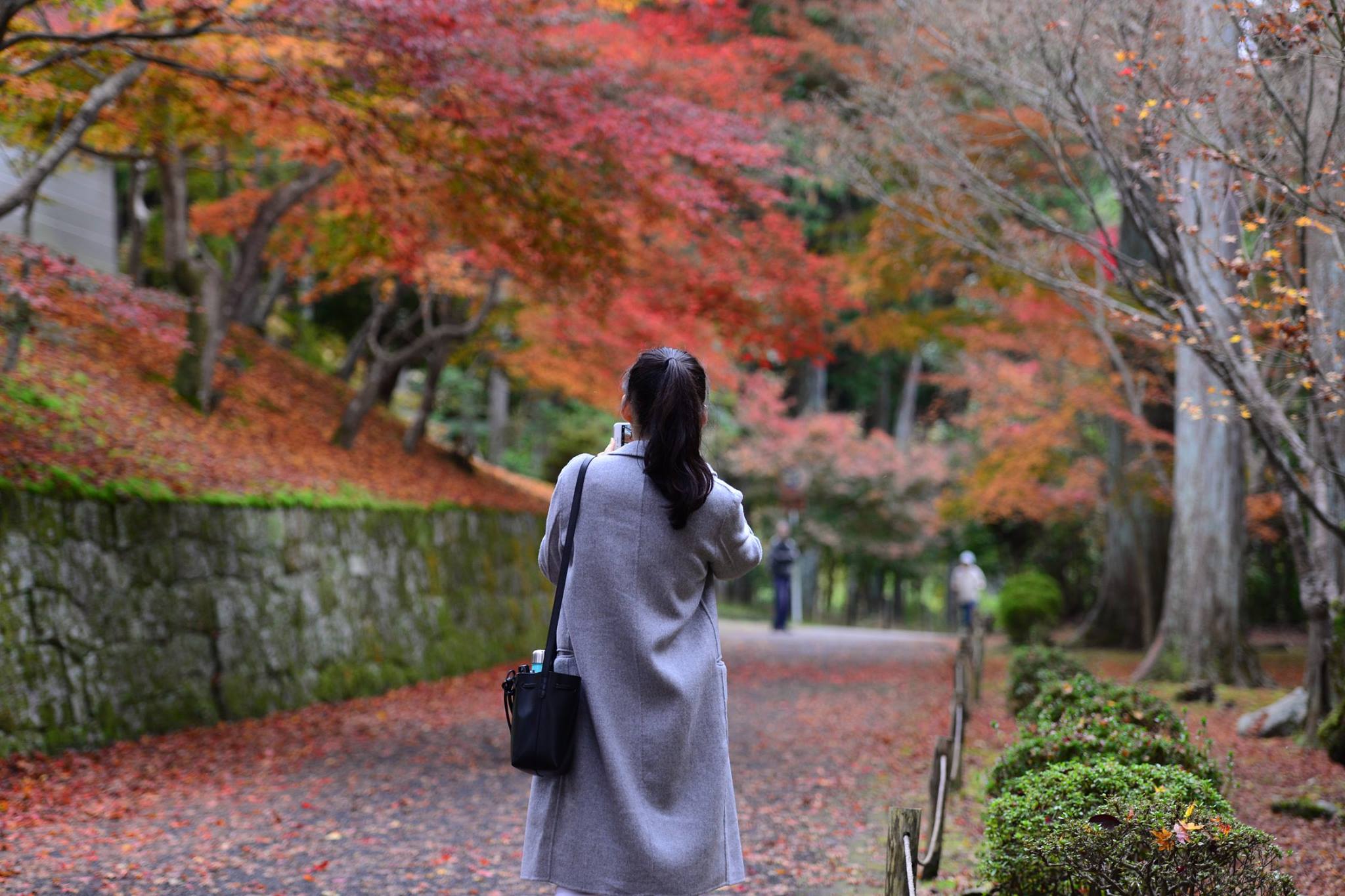 16601574_1738250796503911_7558450976243810666_o