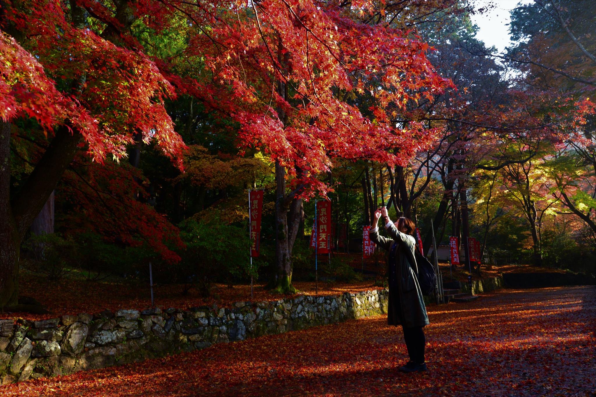 16601637_1738761583119499_3893145466602180565_o