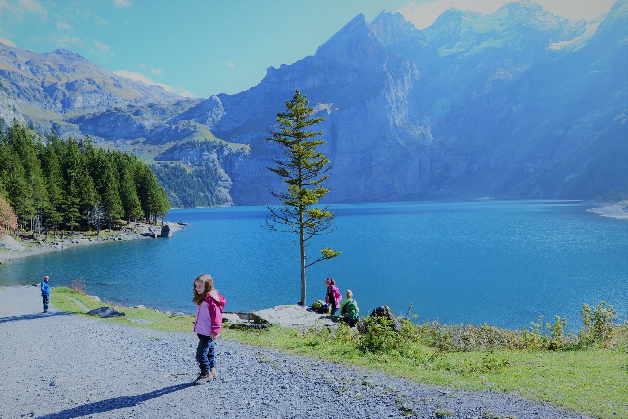 16601758_1736081126720878_76841276084941979_o