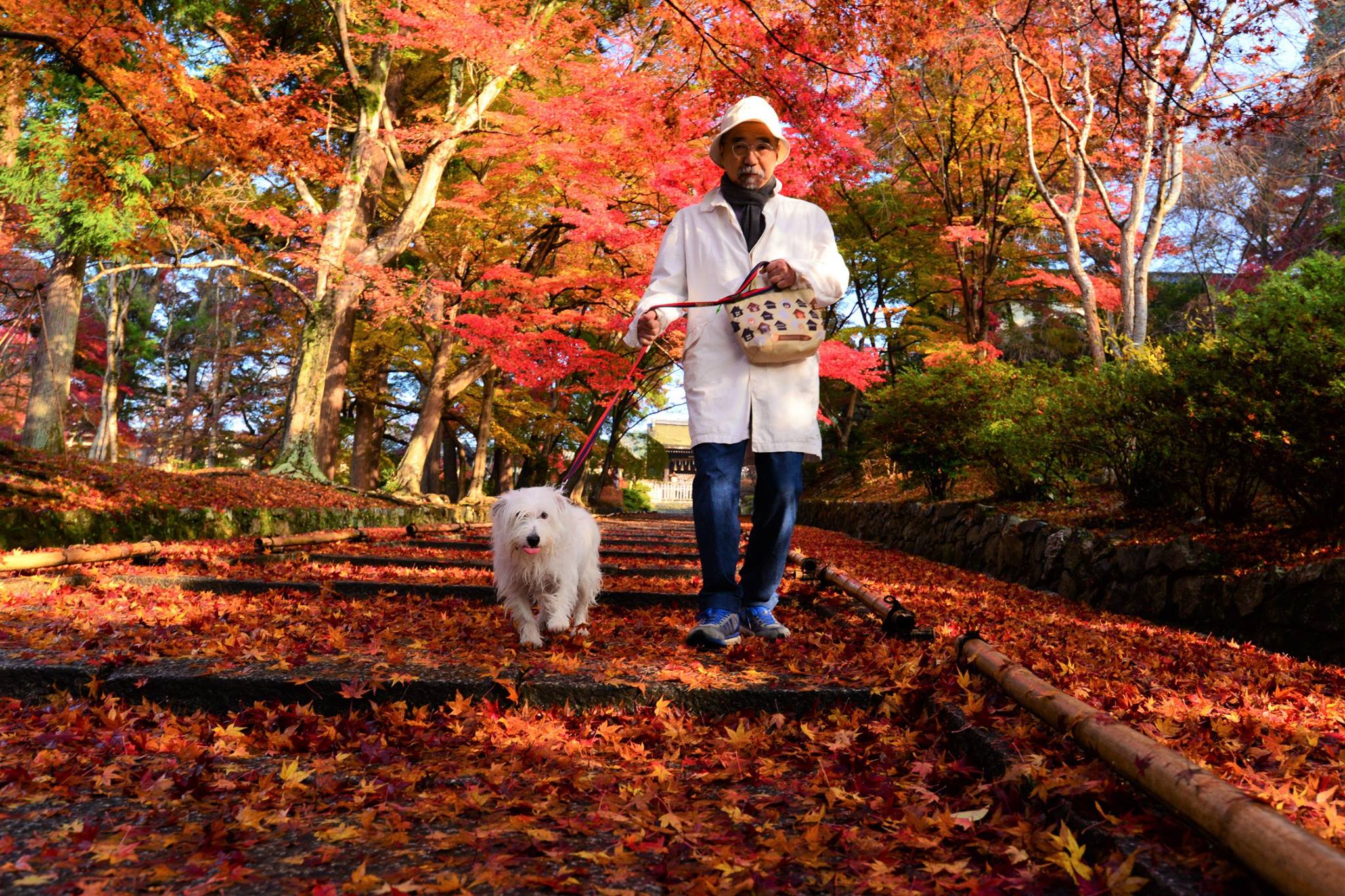 16601971_1738761383119519_7582110671566994445_o