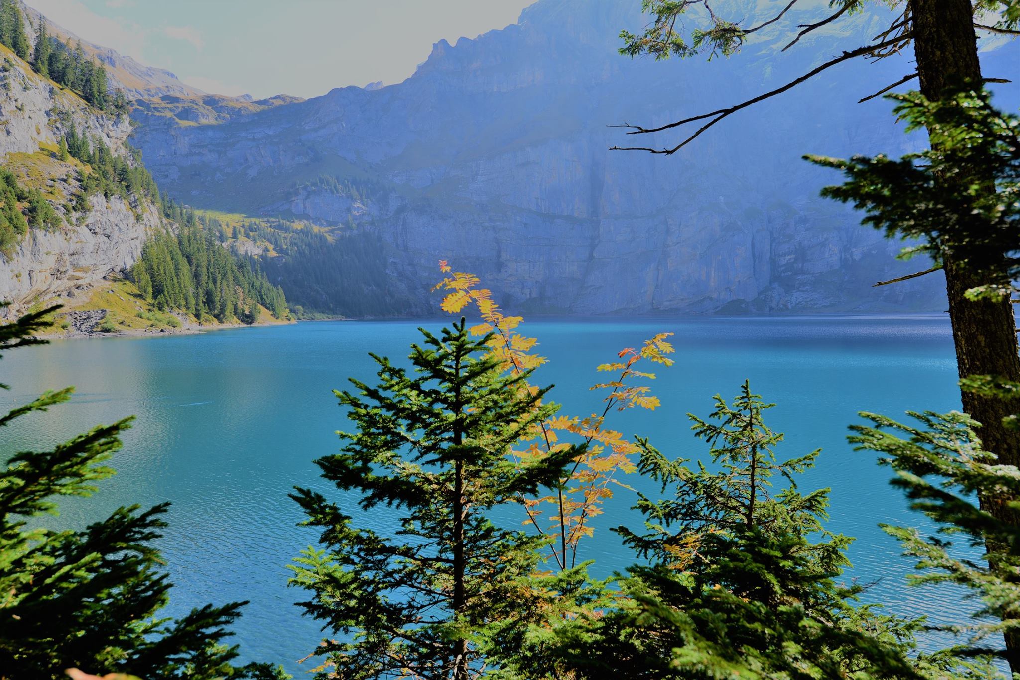 16601978_1736081060054218_5935890197370707018_o