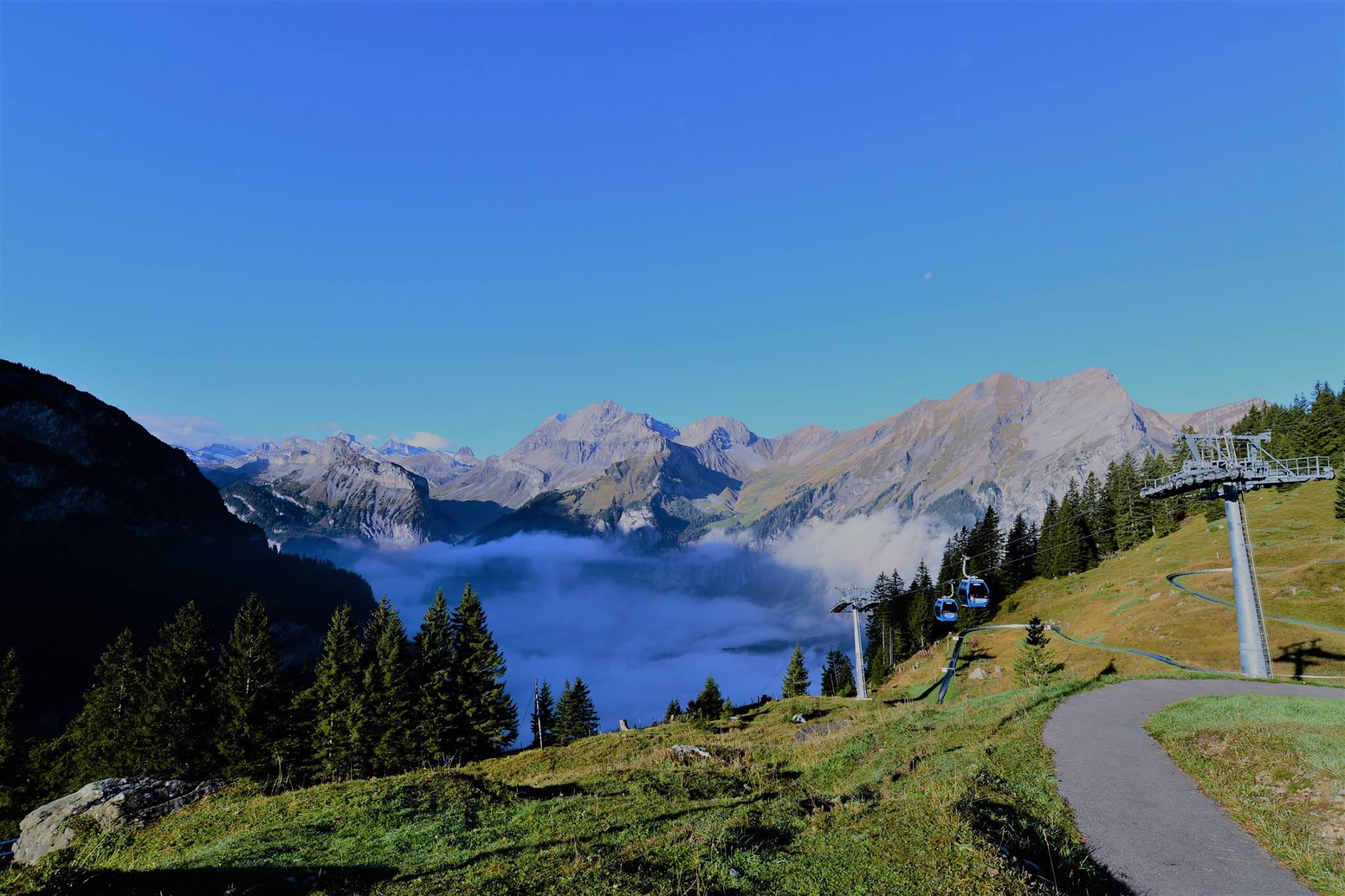 16602214_1736080990054225_3196370660308281865_o