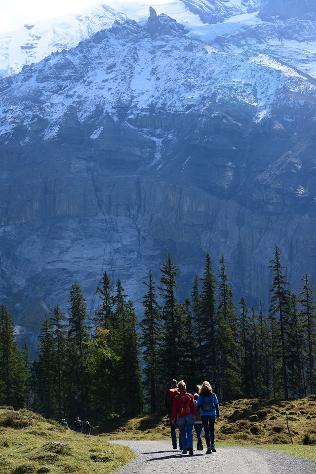 16602266_1736081500054174_895750812788381096_o