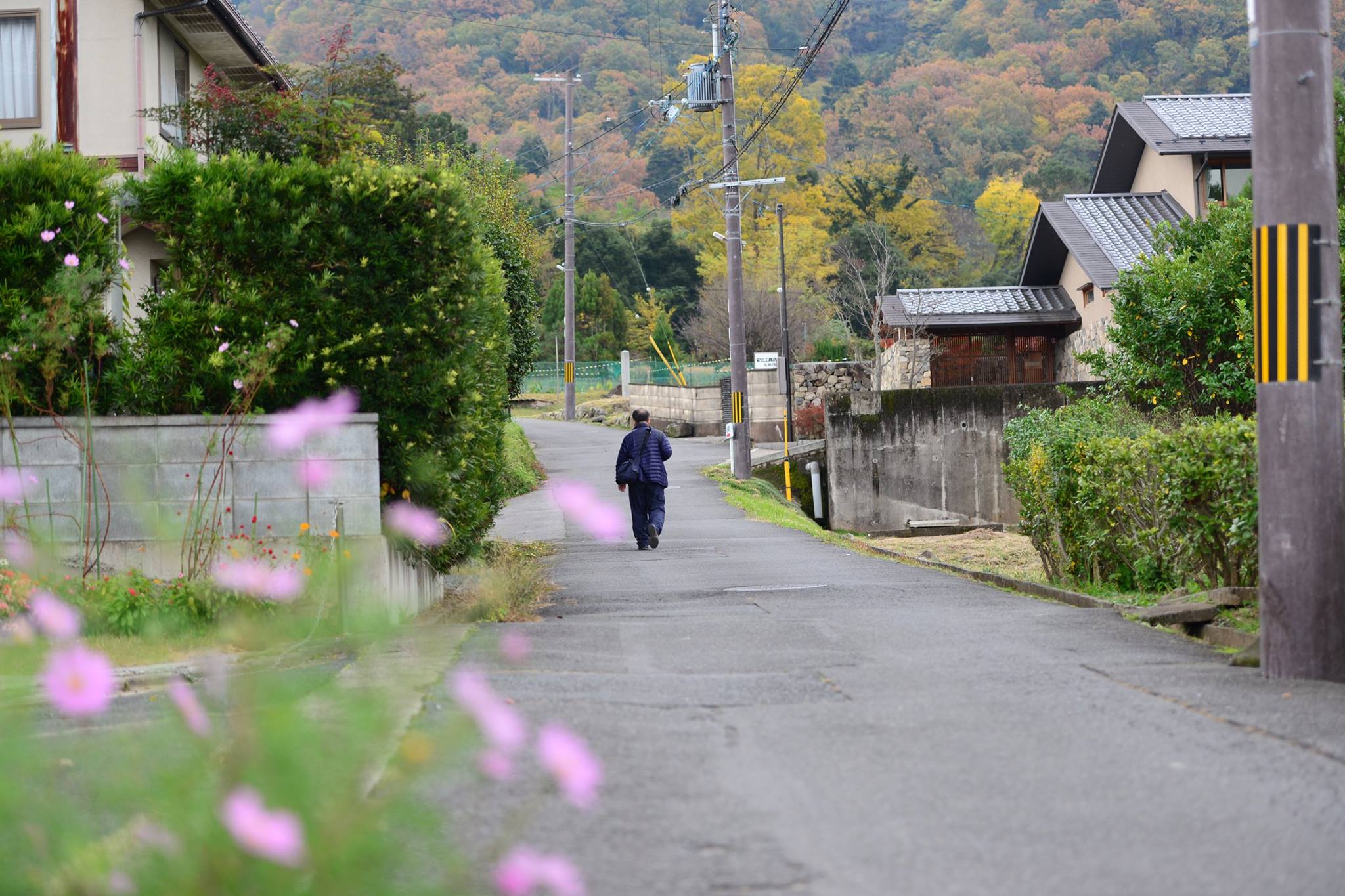 16602278_1738251426503848_1422419612984764644_o