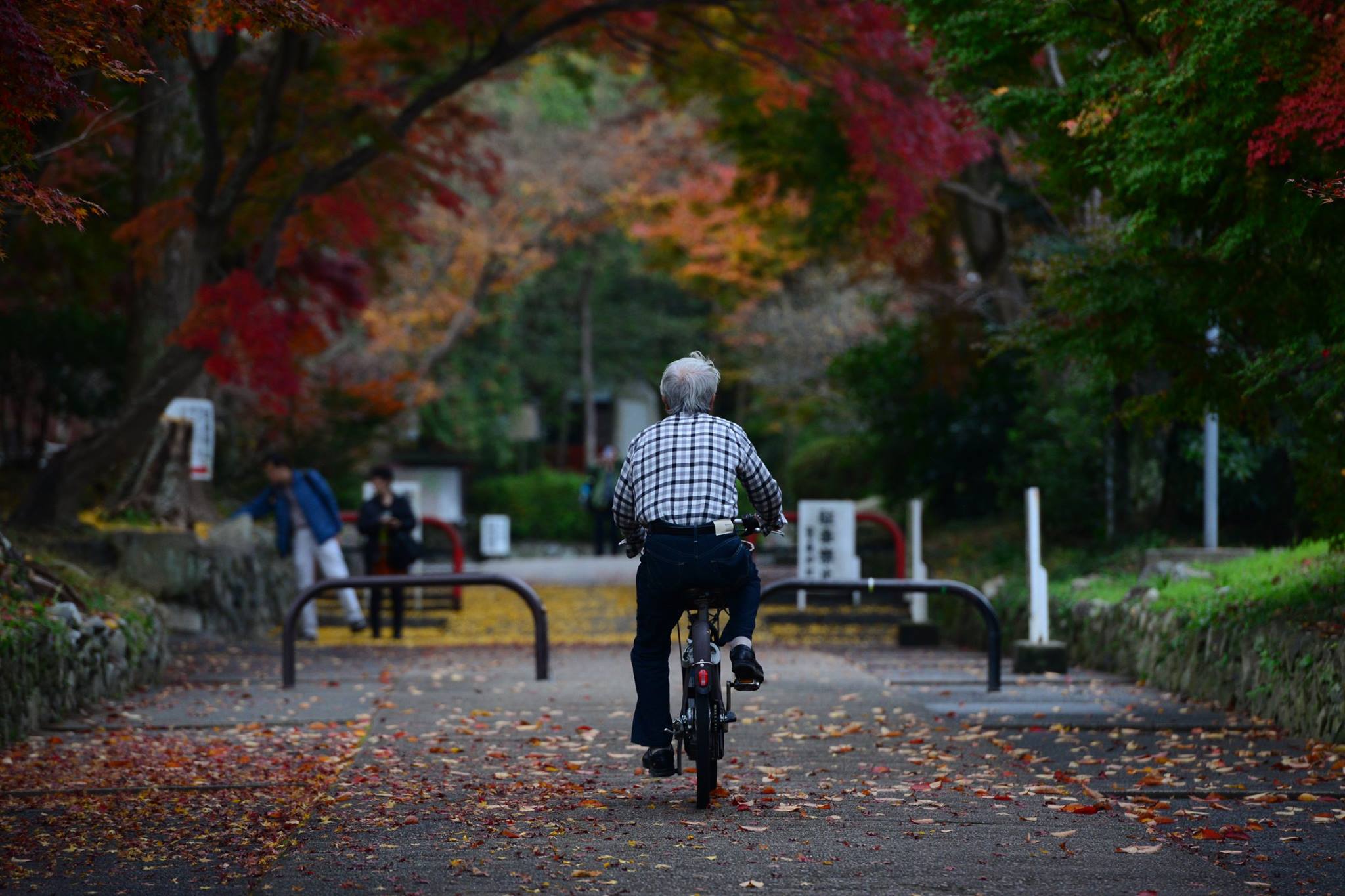 16602363_1738250926503898_7522890350373831156_o