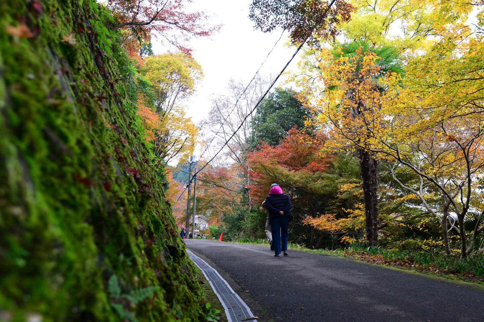 16602438_1737186976610293_3573265502061445698_o