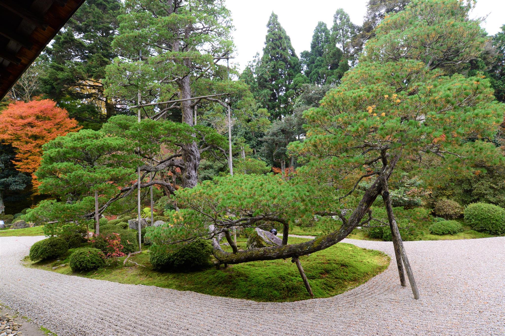 16602441_1738250653170592_471075979164121131_o