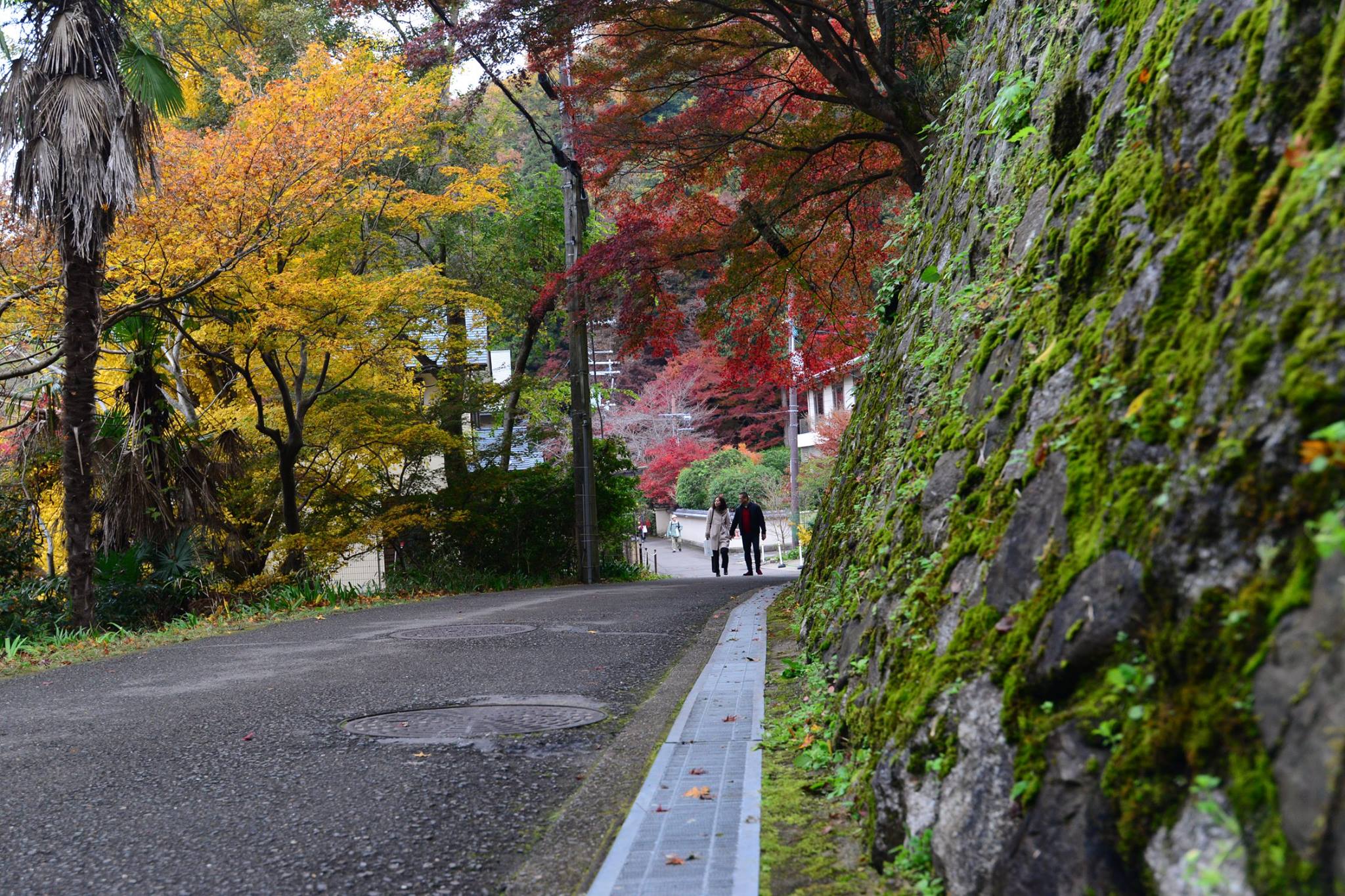 16602553_1737186946610296_6231657811013192152_o