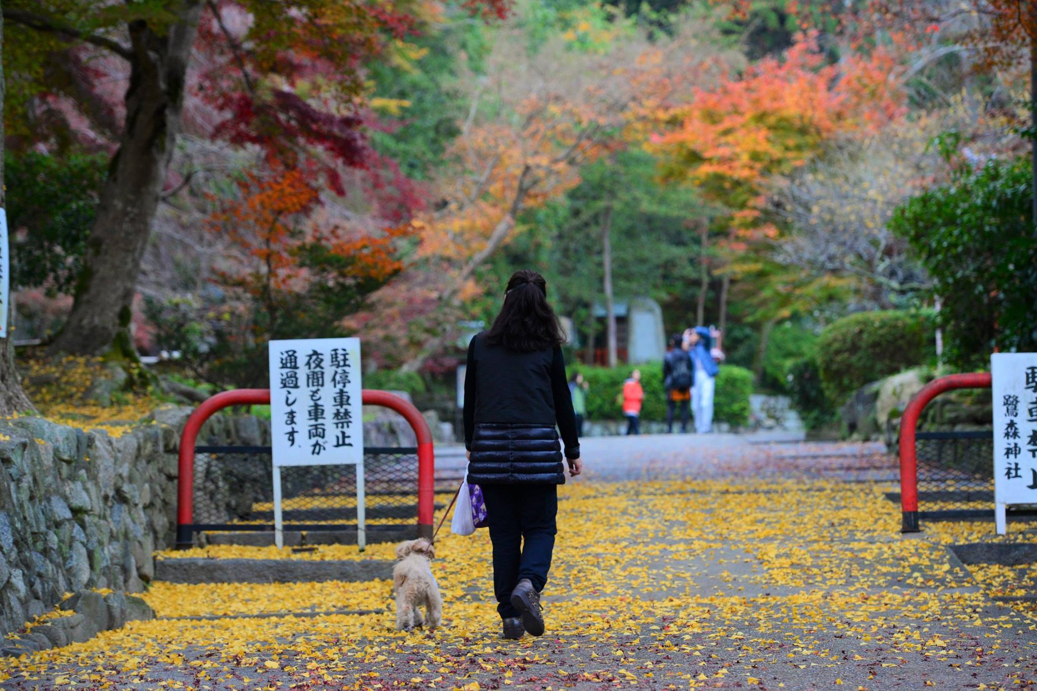 16665003_1738250893170568_8333783866977196200_o