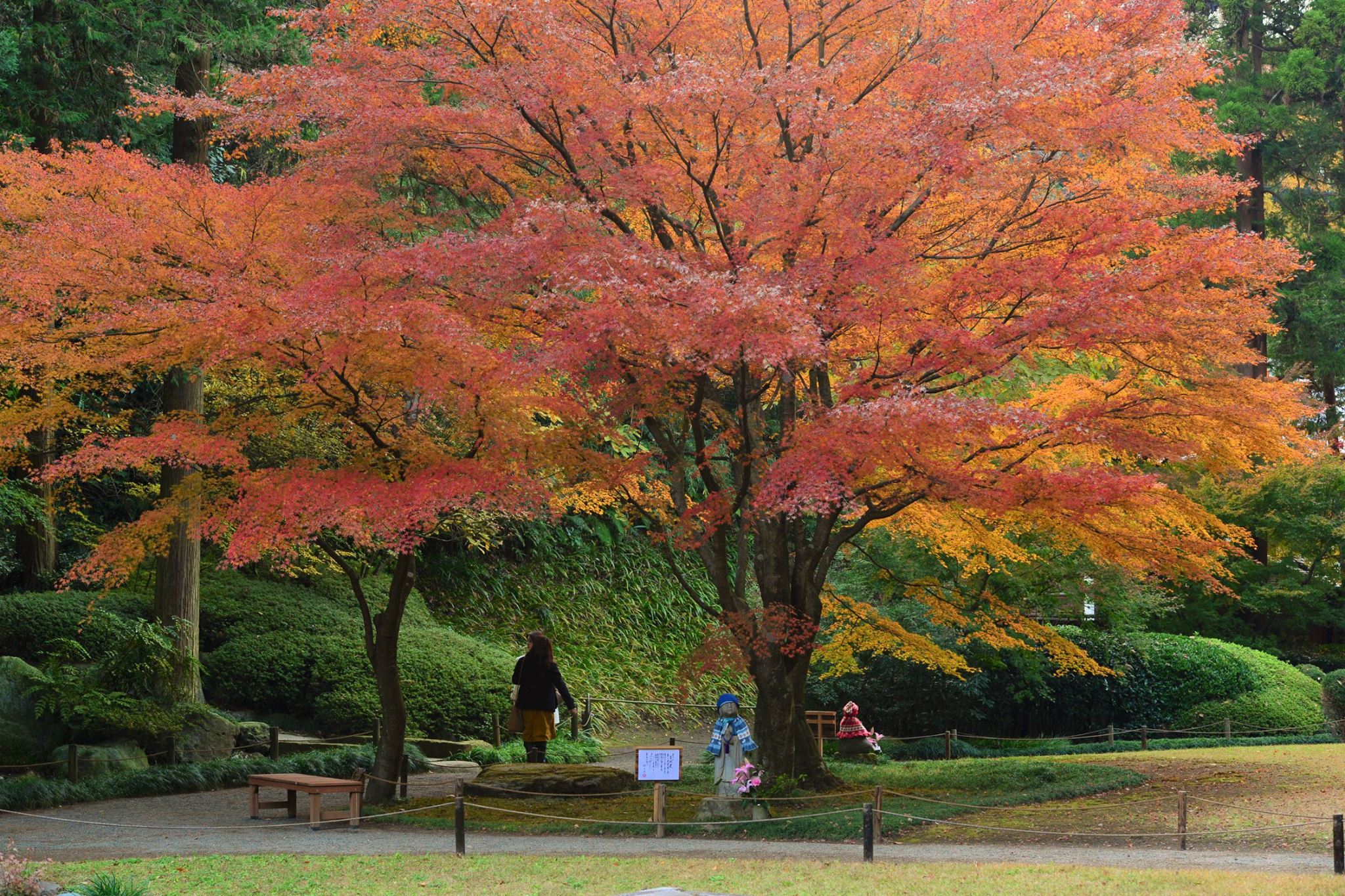 16665204_1740022269660097_5719259289312900103_o