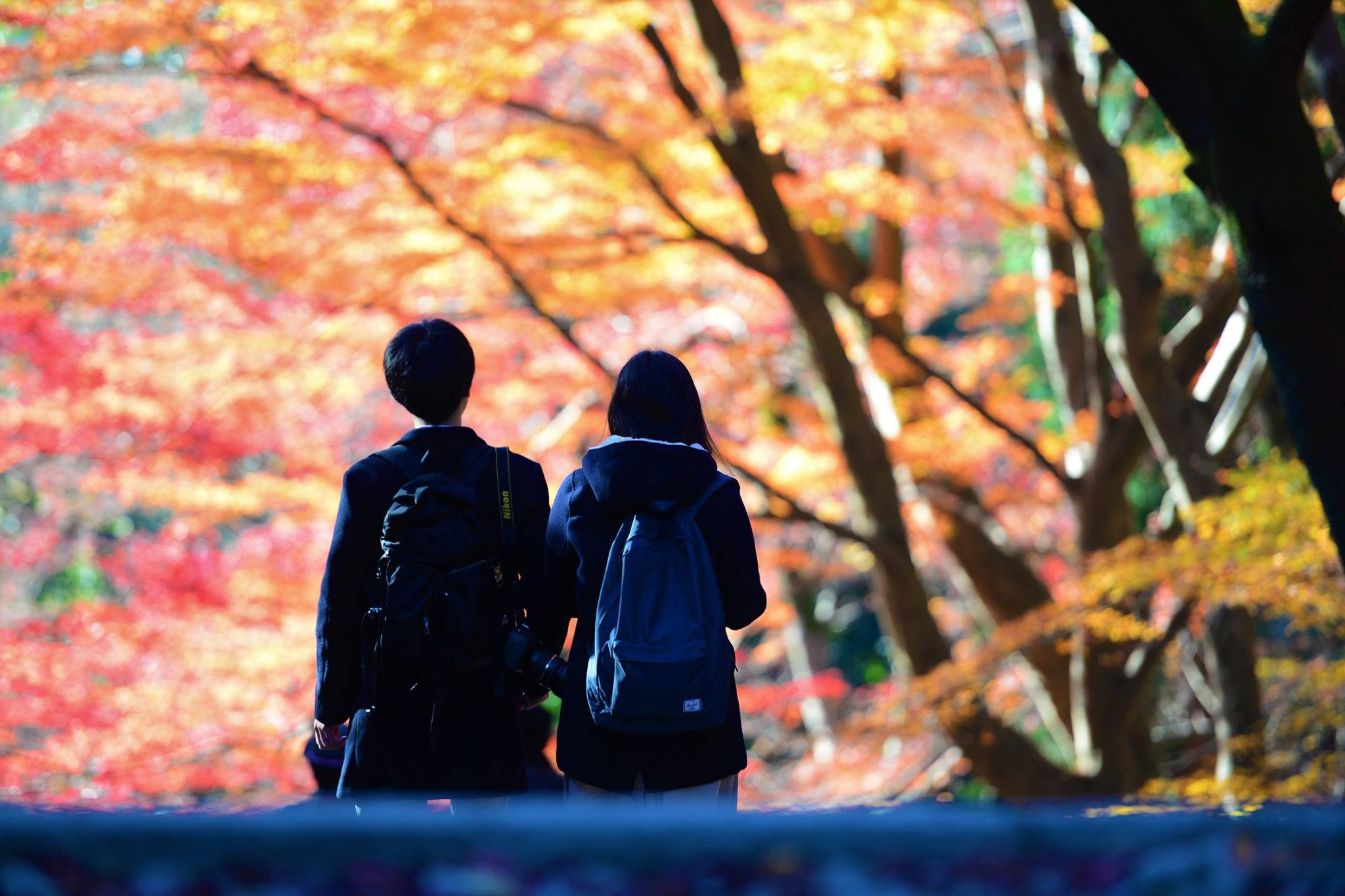 16665256_1738761819786142_5046604455515221871_o