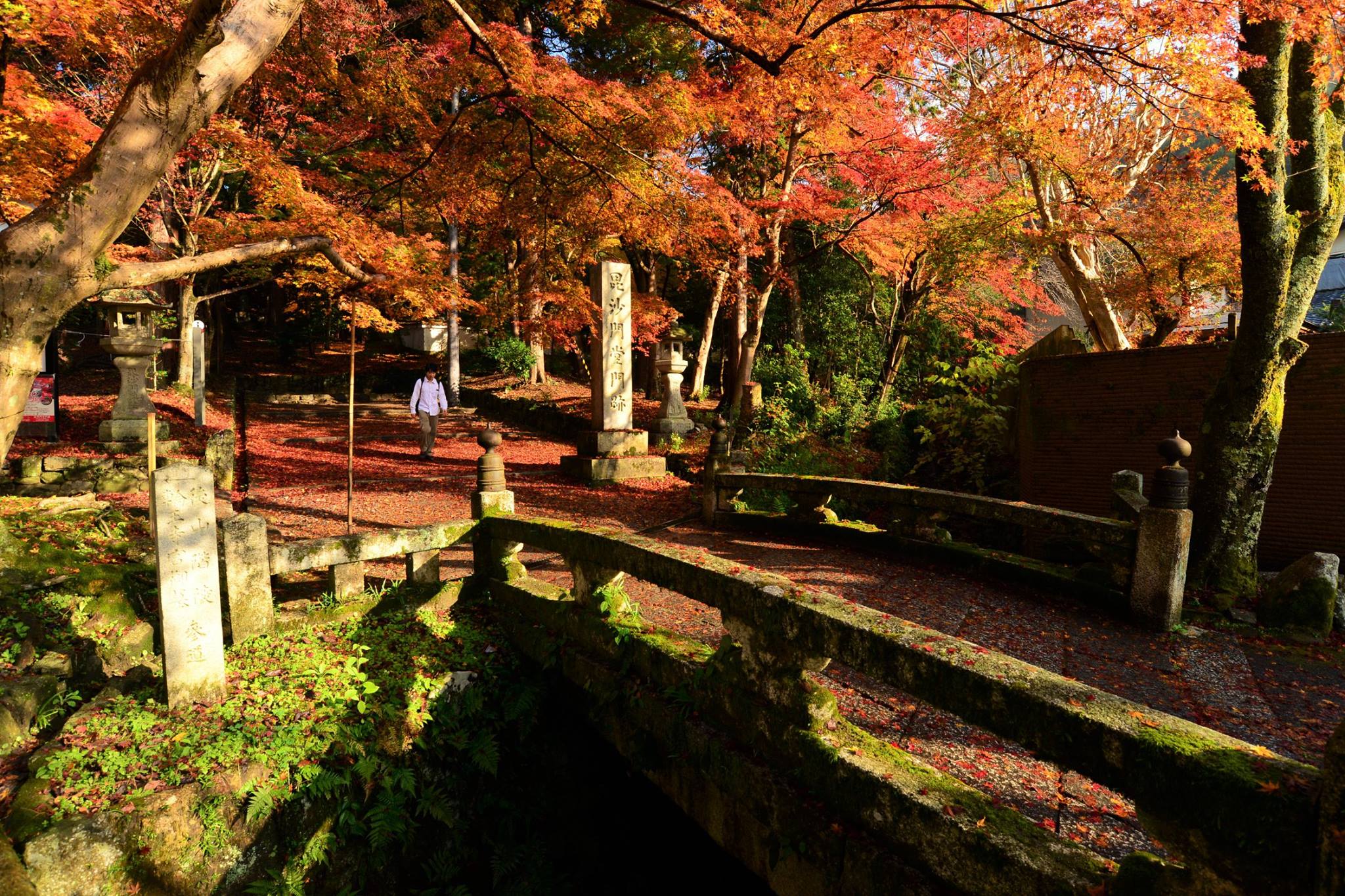 16665362_1738761636452827_2964222451668150223_o