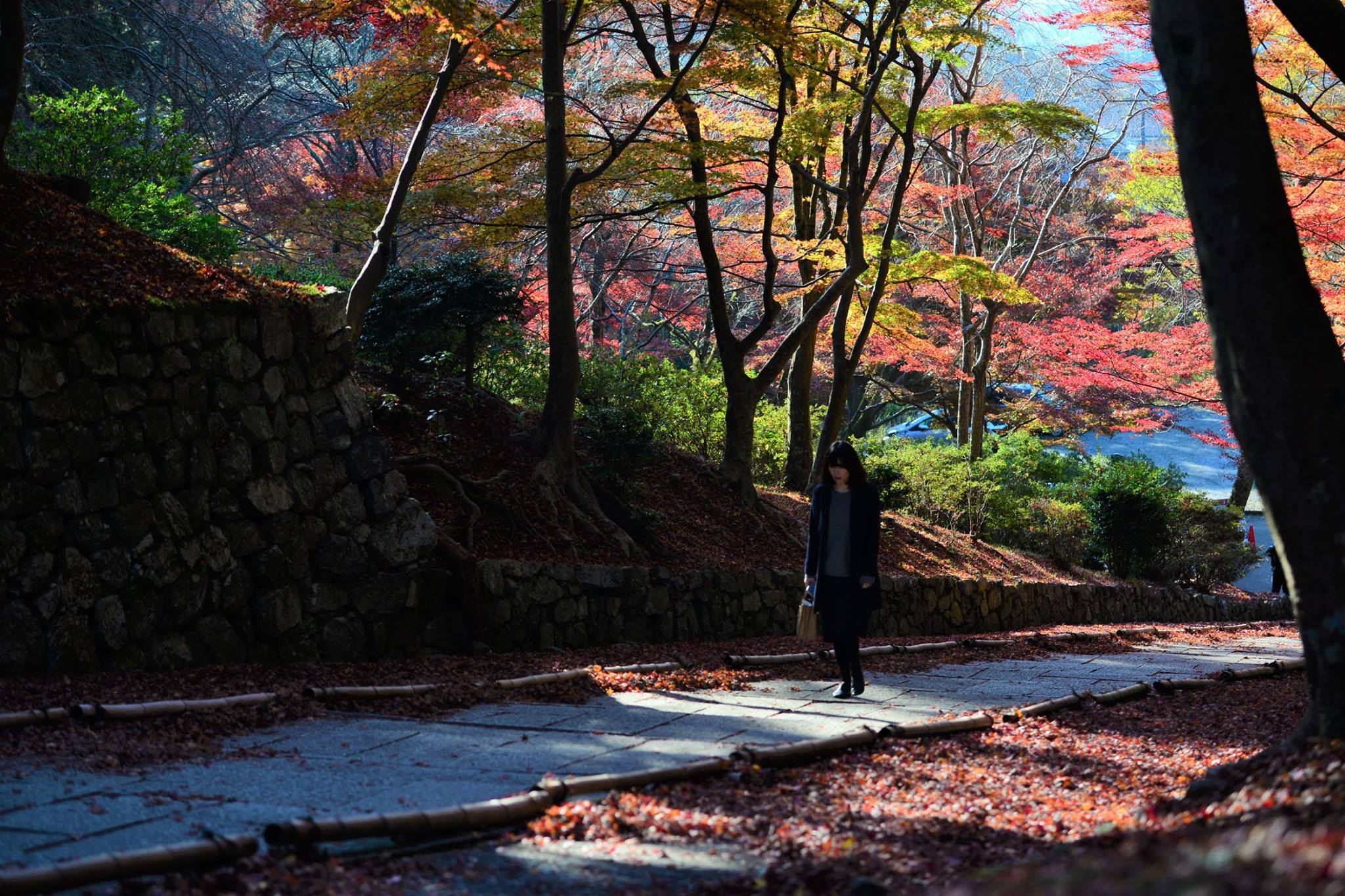 16665546_1738761816452809_4471336849657740871_o