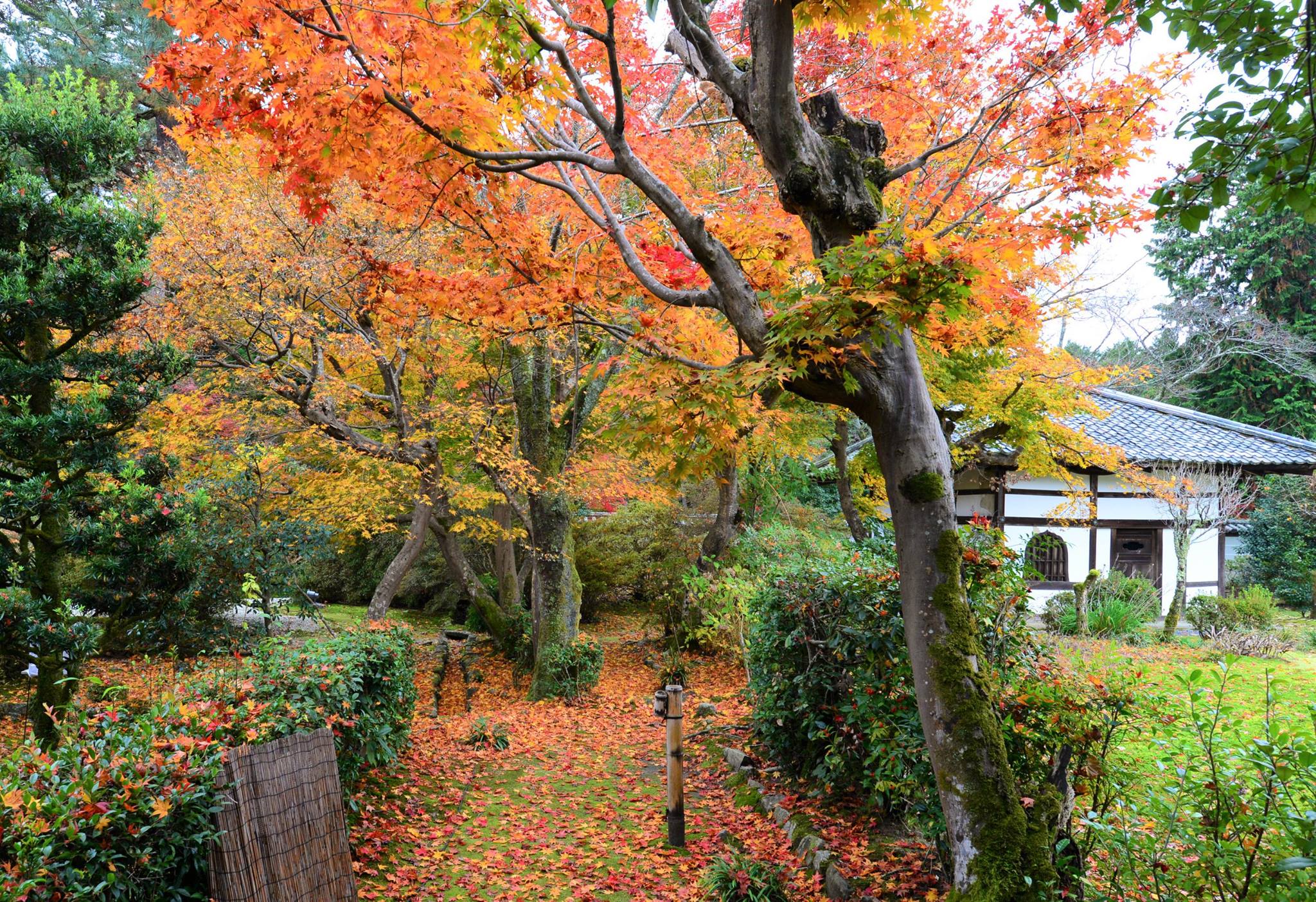 16665647_1738250546503936_7460447538852892159_o