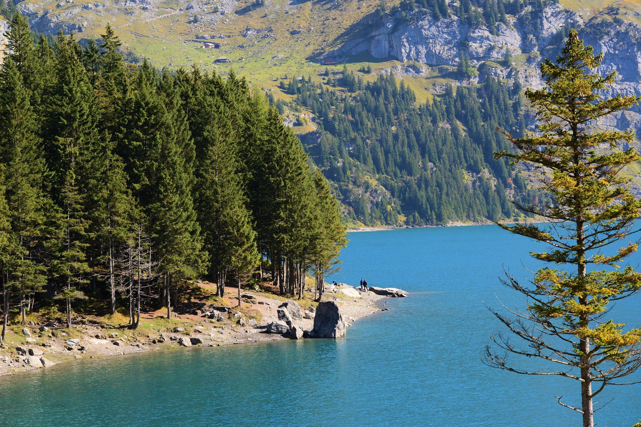 16665796_1736081170054207_3328449150863233798_o