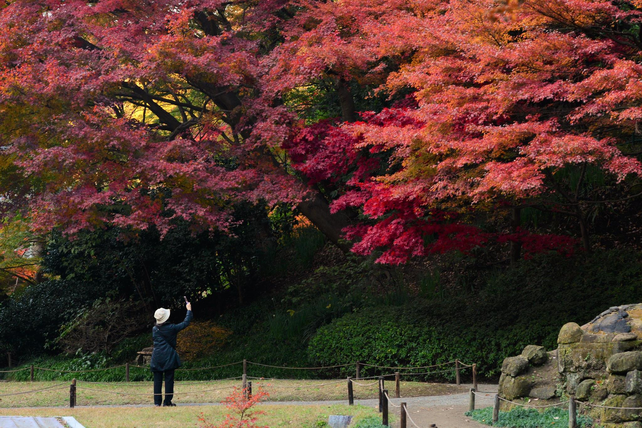 16665809_1740022552993402_8993402753038317010_o