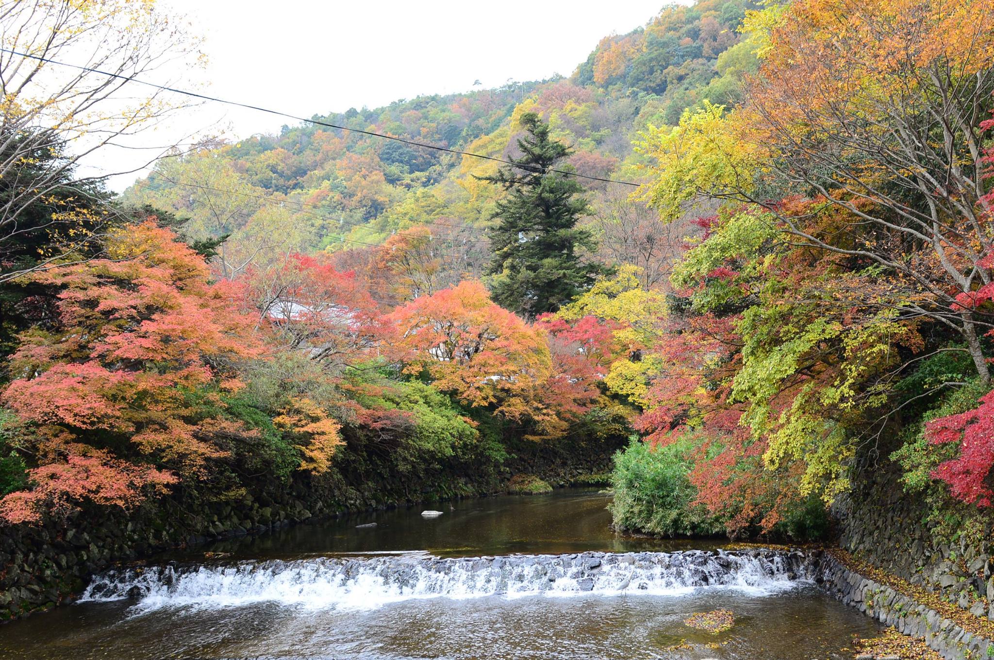 16700261_1737186619943662_4461809573936776187_o