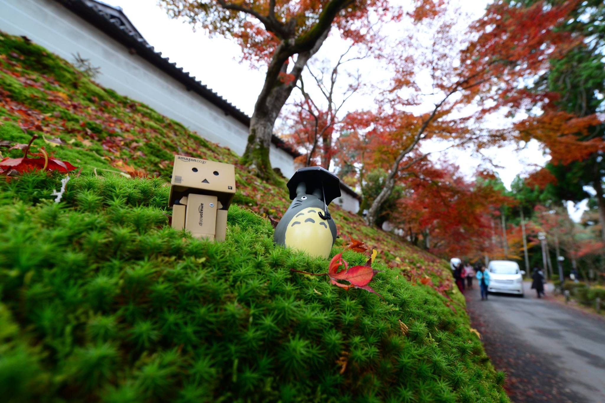 16700330_1738250353170622_5115662456079968925_o