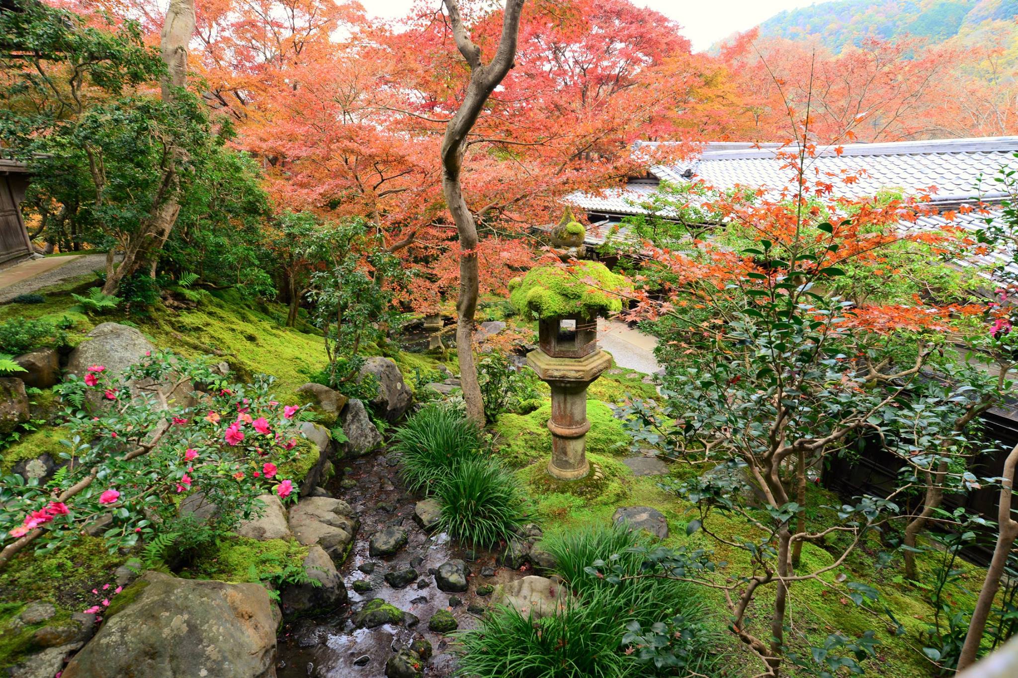 16700551_1737186919943632_3010998406035349951_o