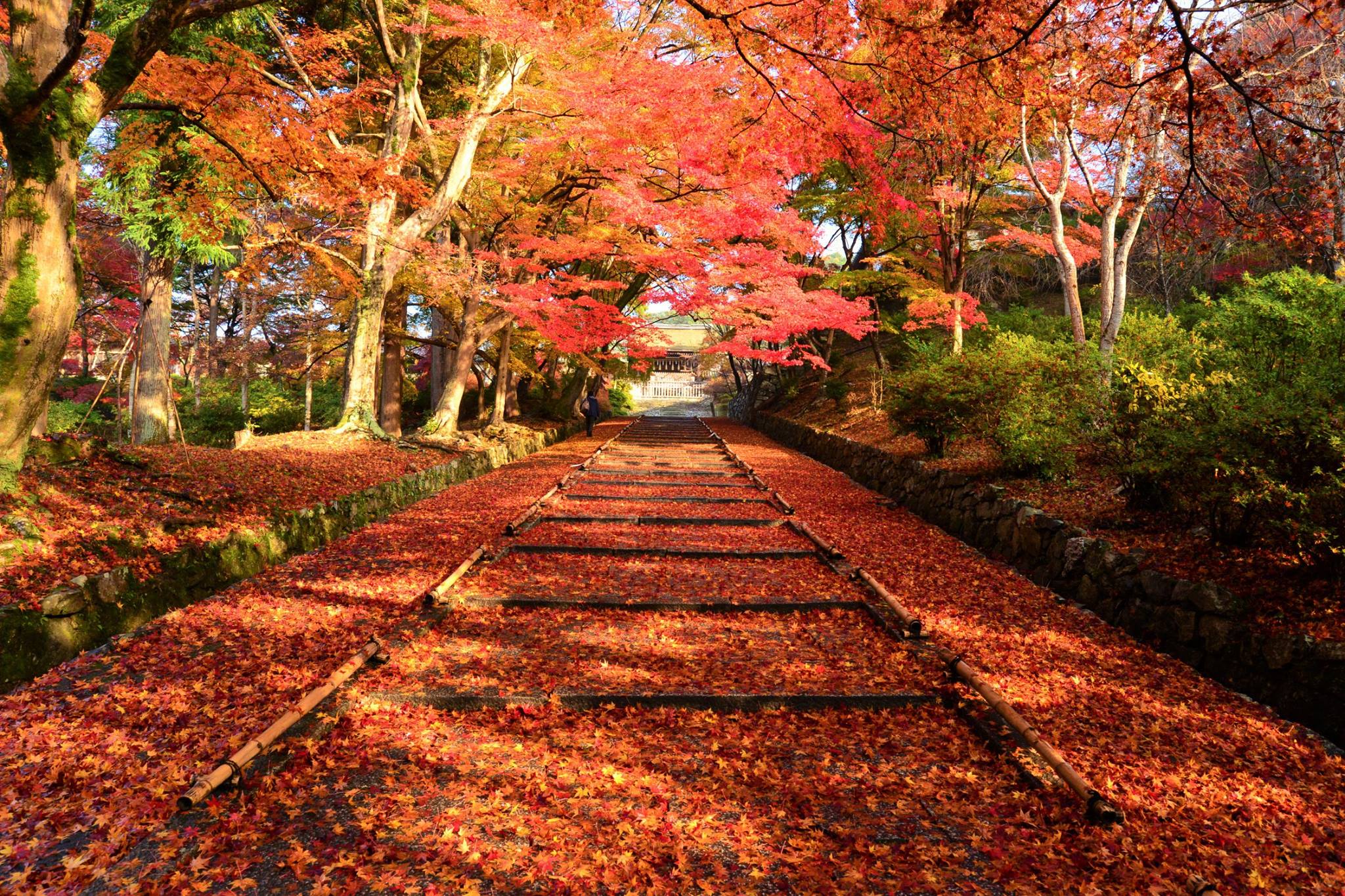 16700598_1738761466452844_4157895397298121197_o