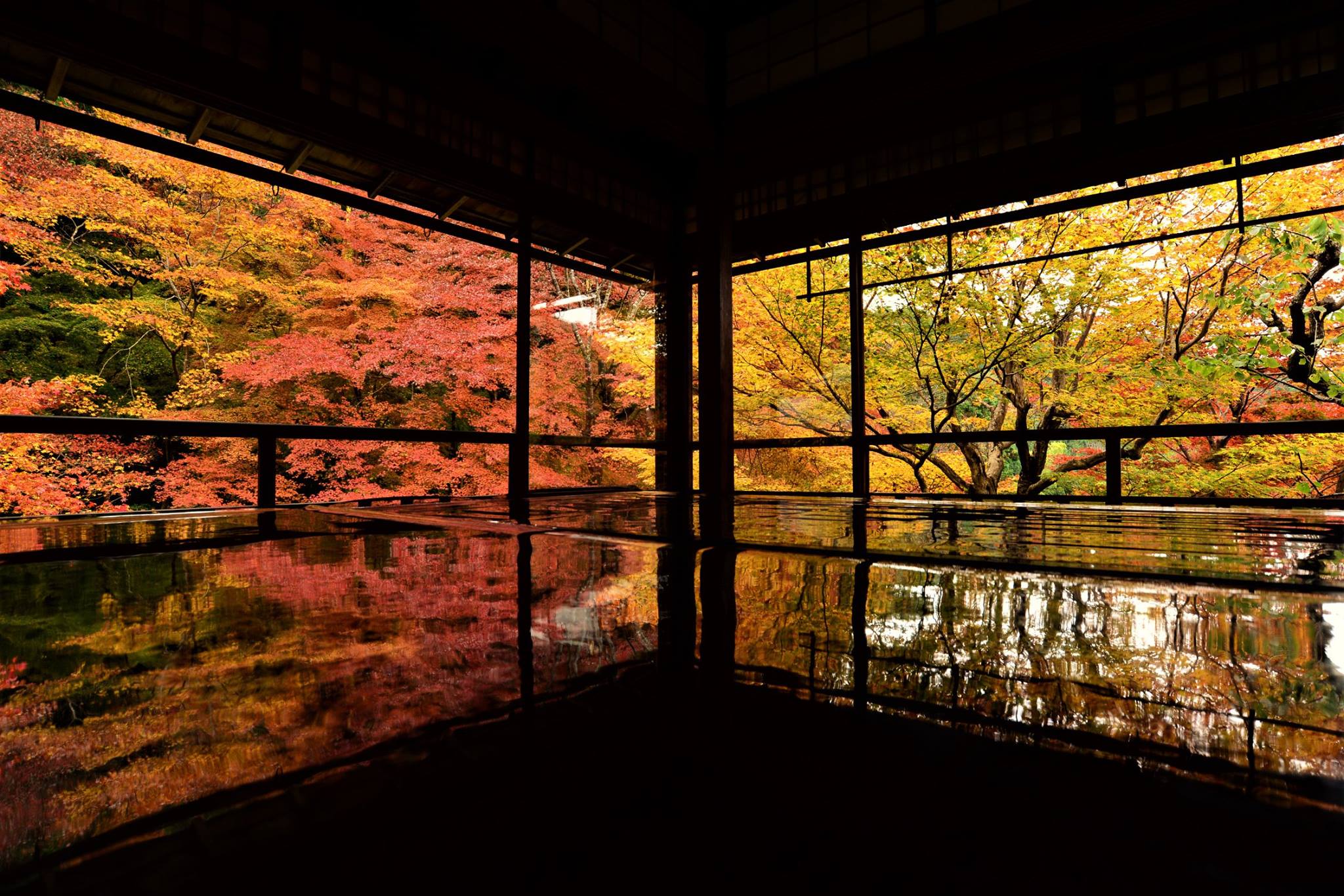 16700602_1737186786610312_7828826866034456495_o