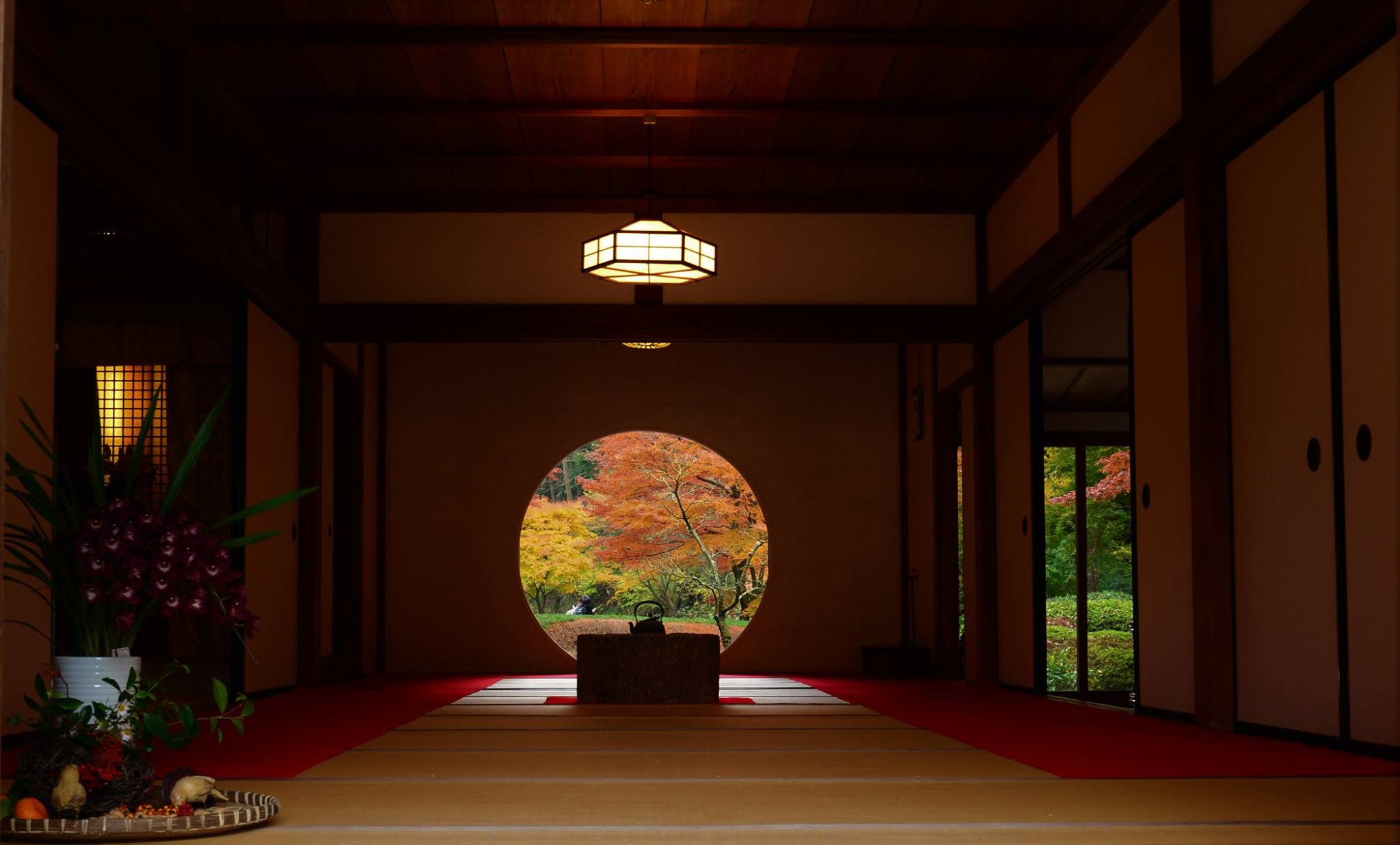 16700665_1740022332993424_1984370854106367556_o