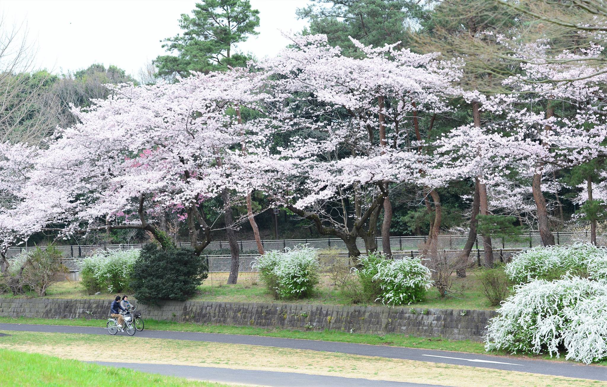 16700681_1743289679333356_5161557257803322716_o