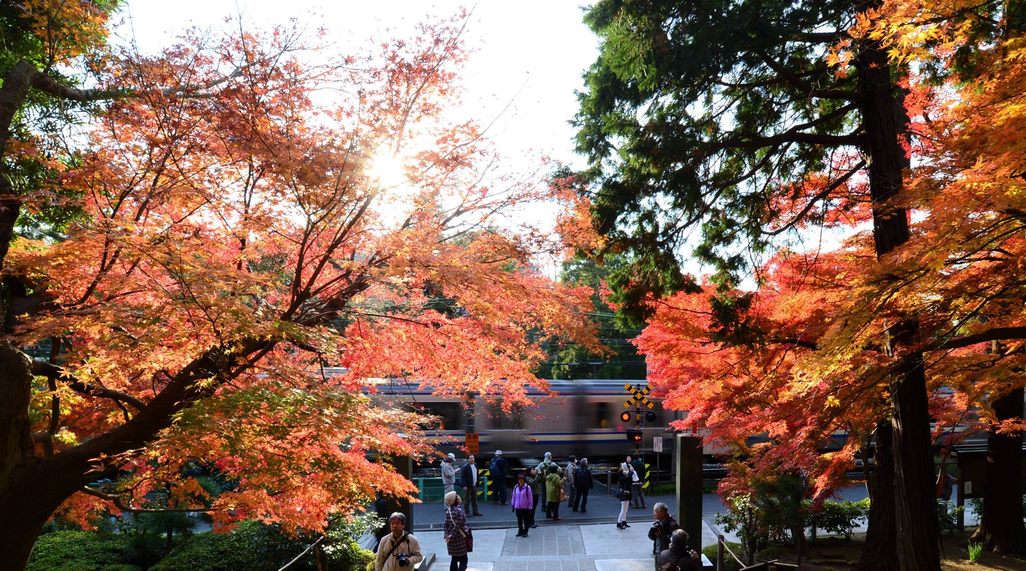 16700689_1740022129660111_3455208873443094847_o