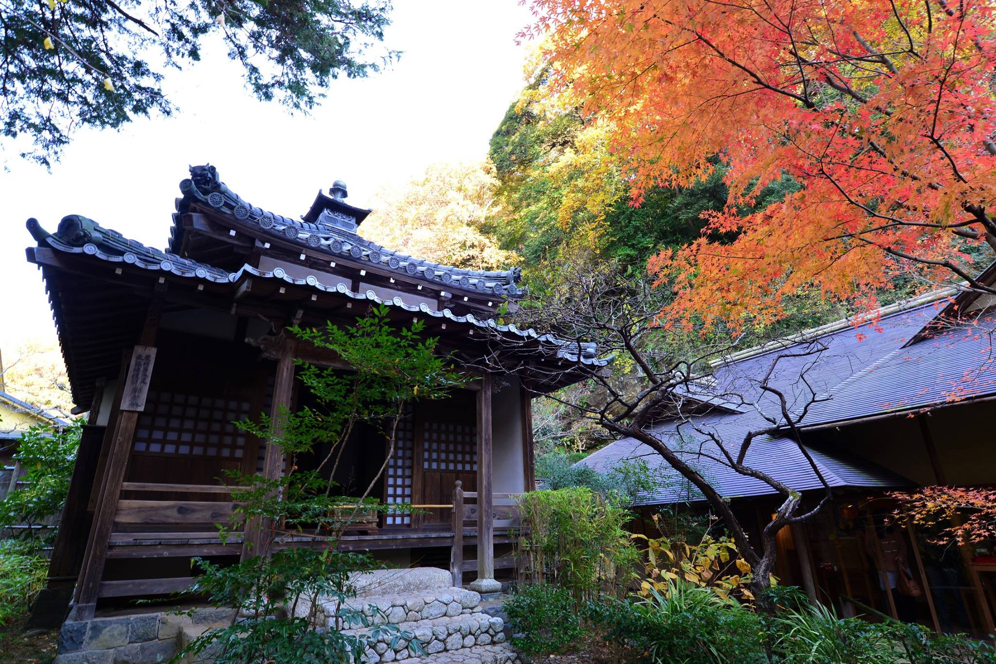 16707327_1740022142993443_1736760437365147502_o