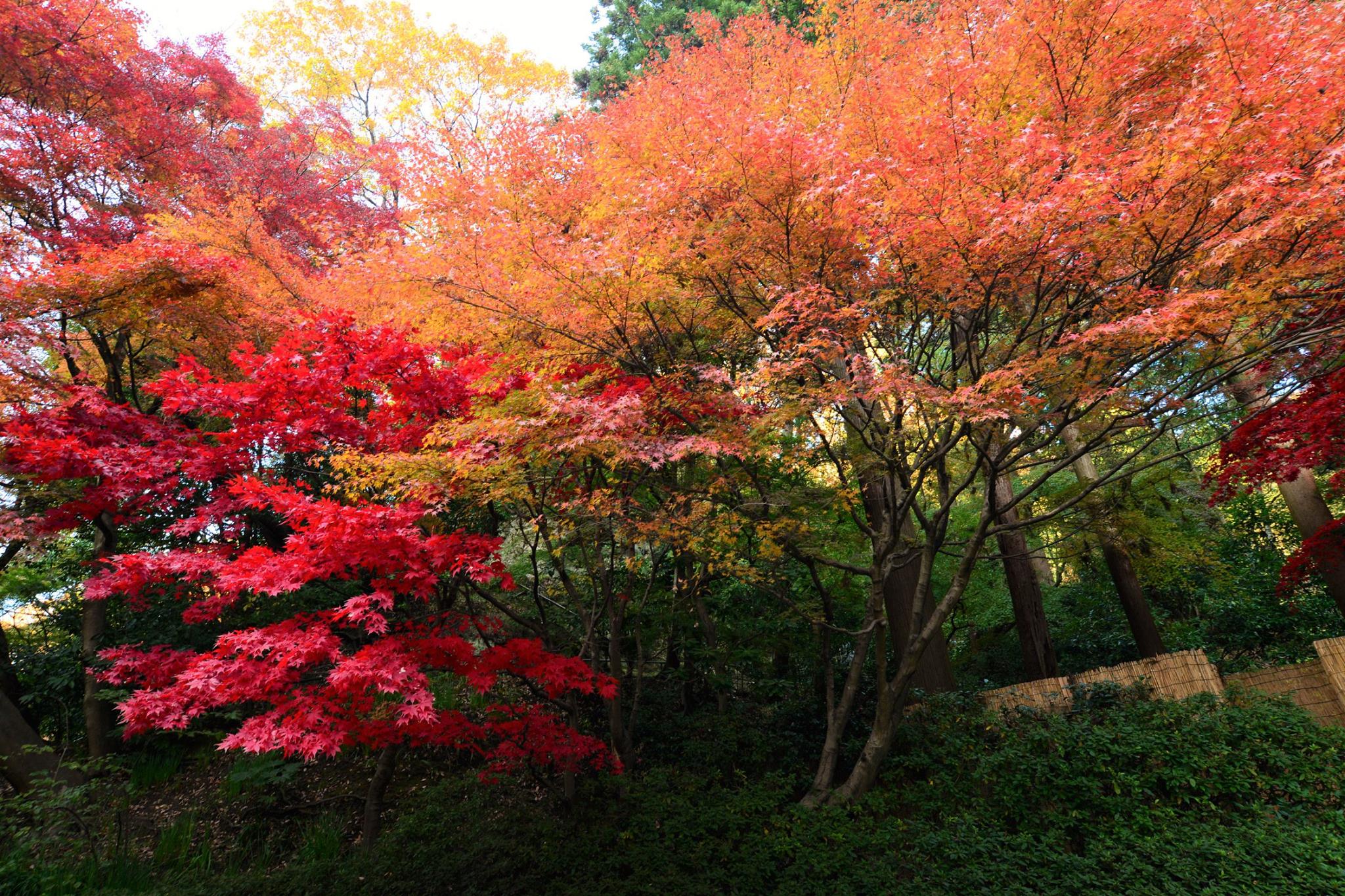 16707353_1740022312993426_2811319813978391068_o