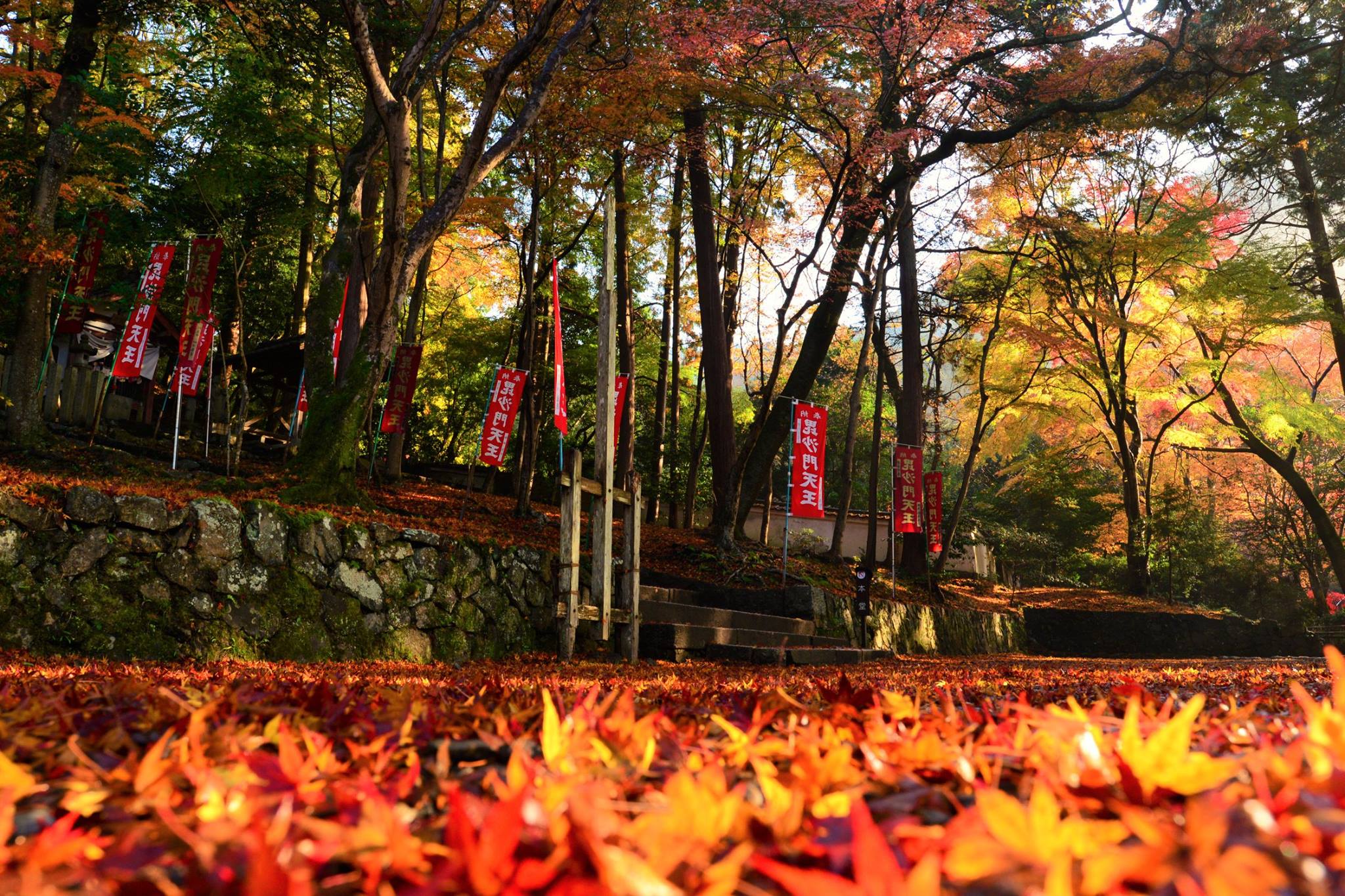 16715926_1738761533119504_922327364046486303_o