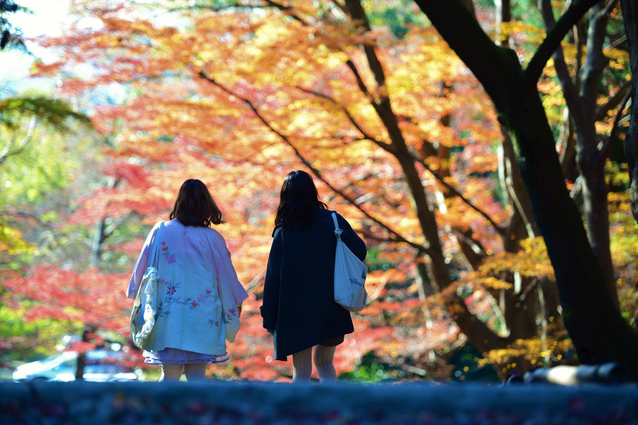 16716045_1738761846452806_4435615887132417615_o