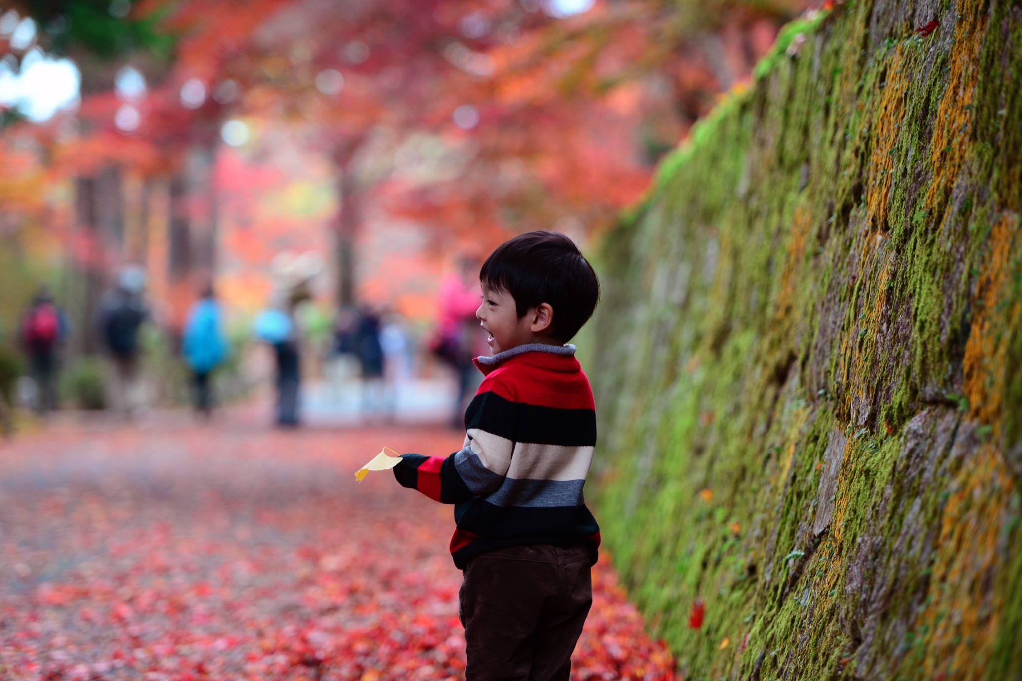 16716093_1738250953170562_3594818132550158311_o