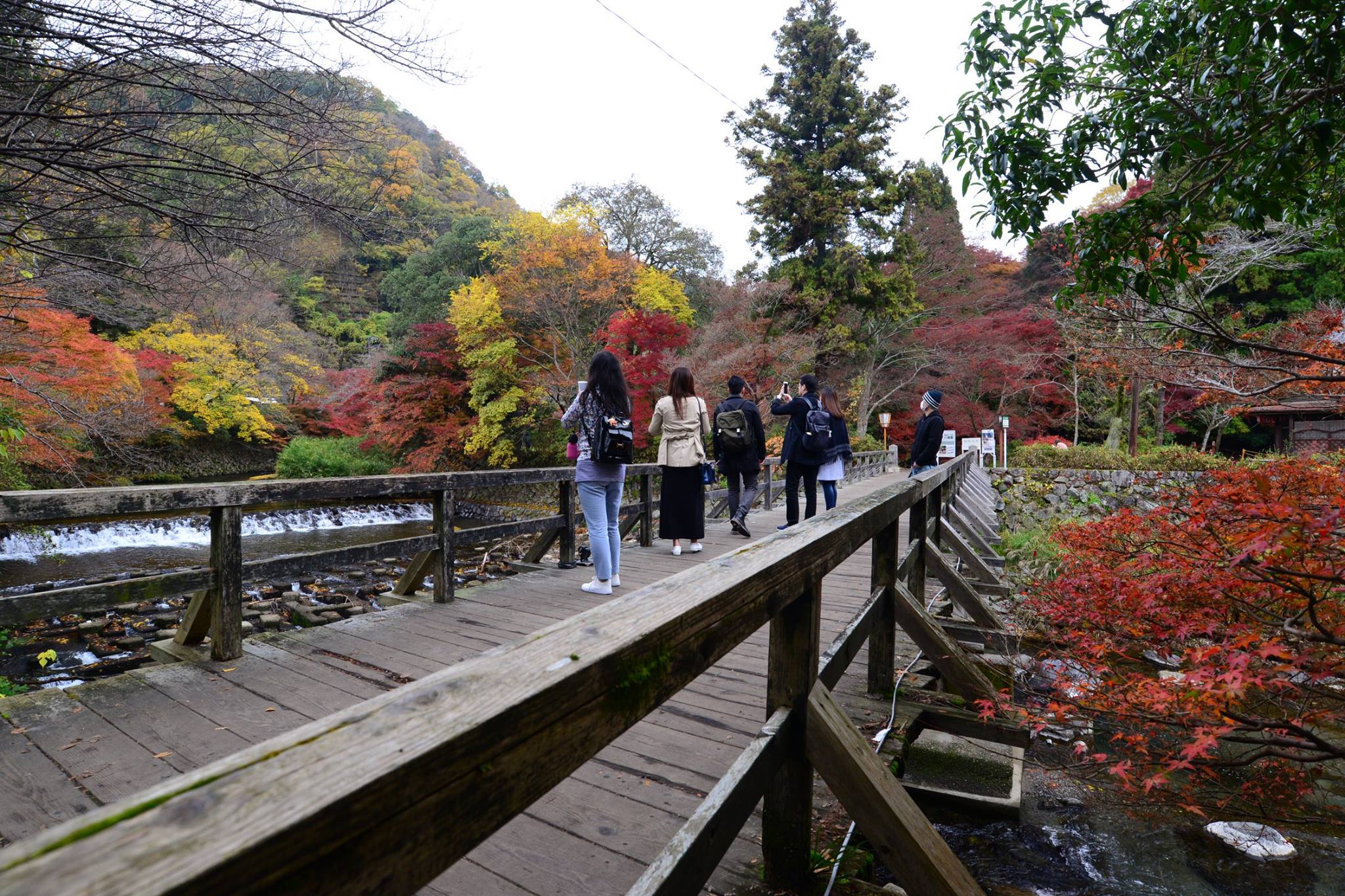 16716097_1737186996610291_6299711936363982942_o