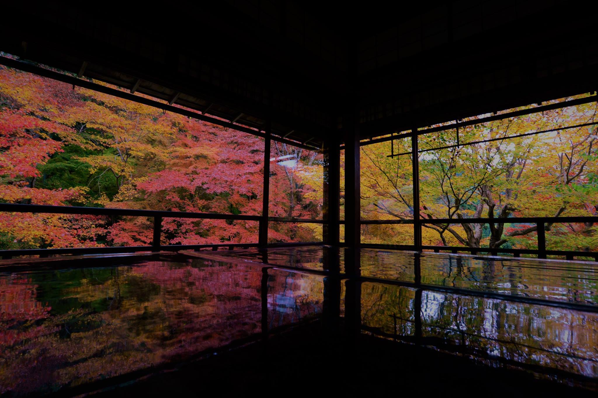 16716161_1737186826610308_726647389531085648_o