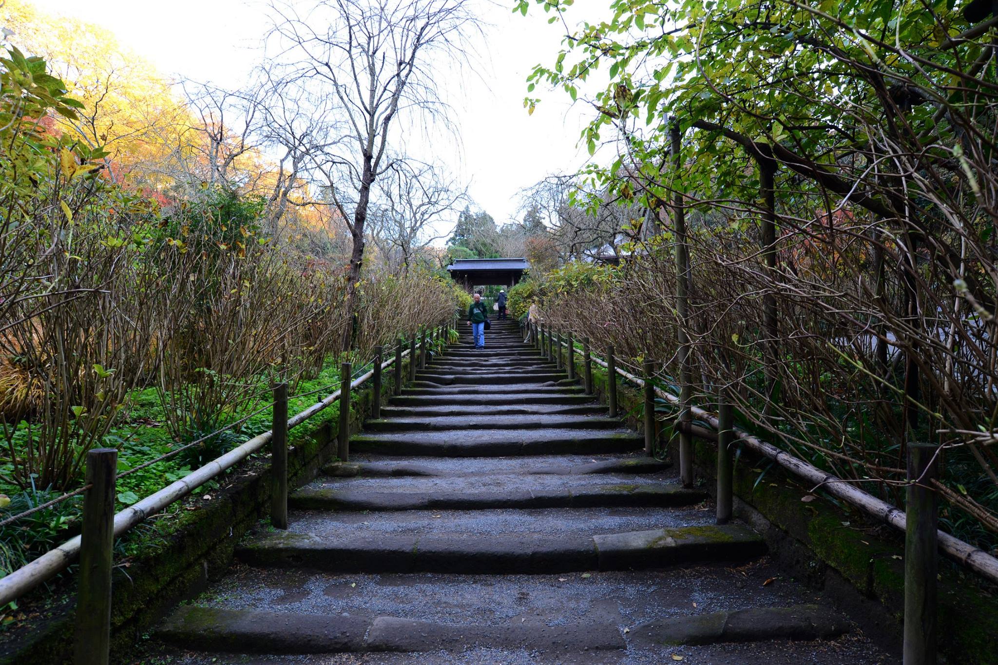 16716337_1740022199660104_5667334607959175302_o