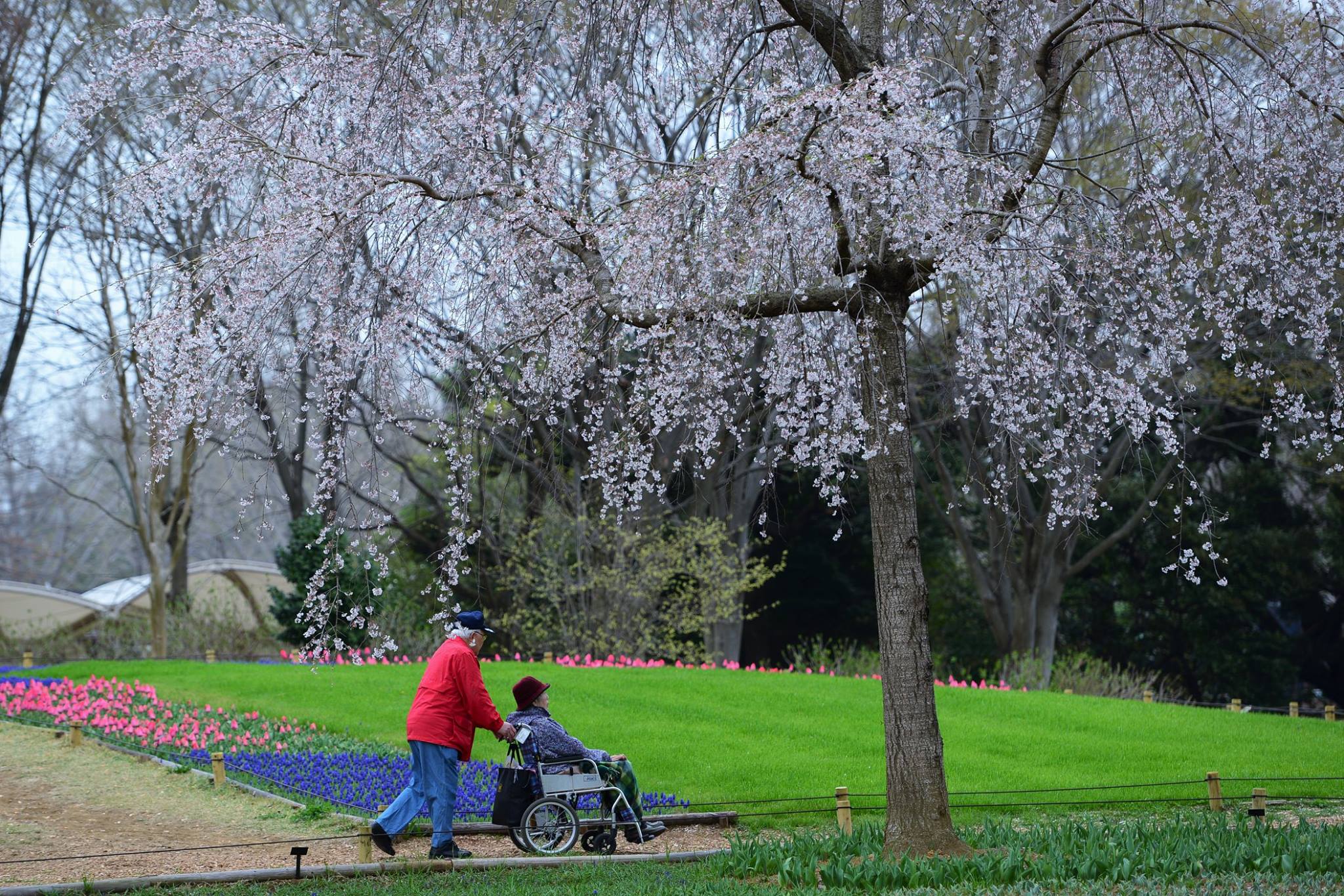 16722393_1743289689333355_7388526147597940319_o