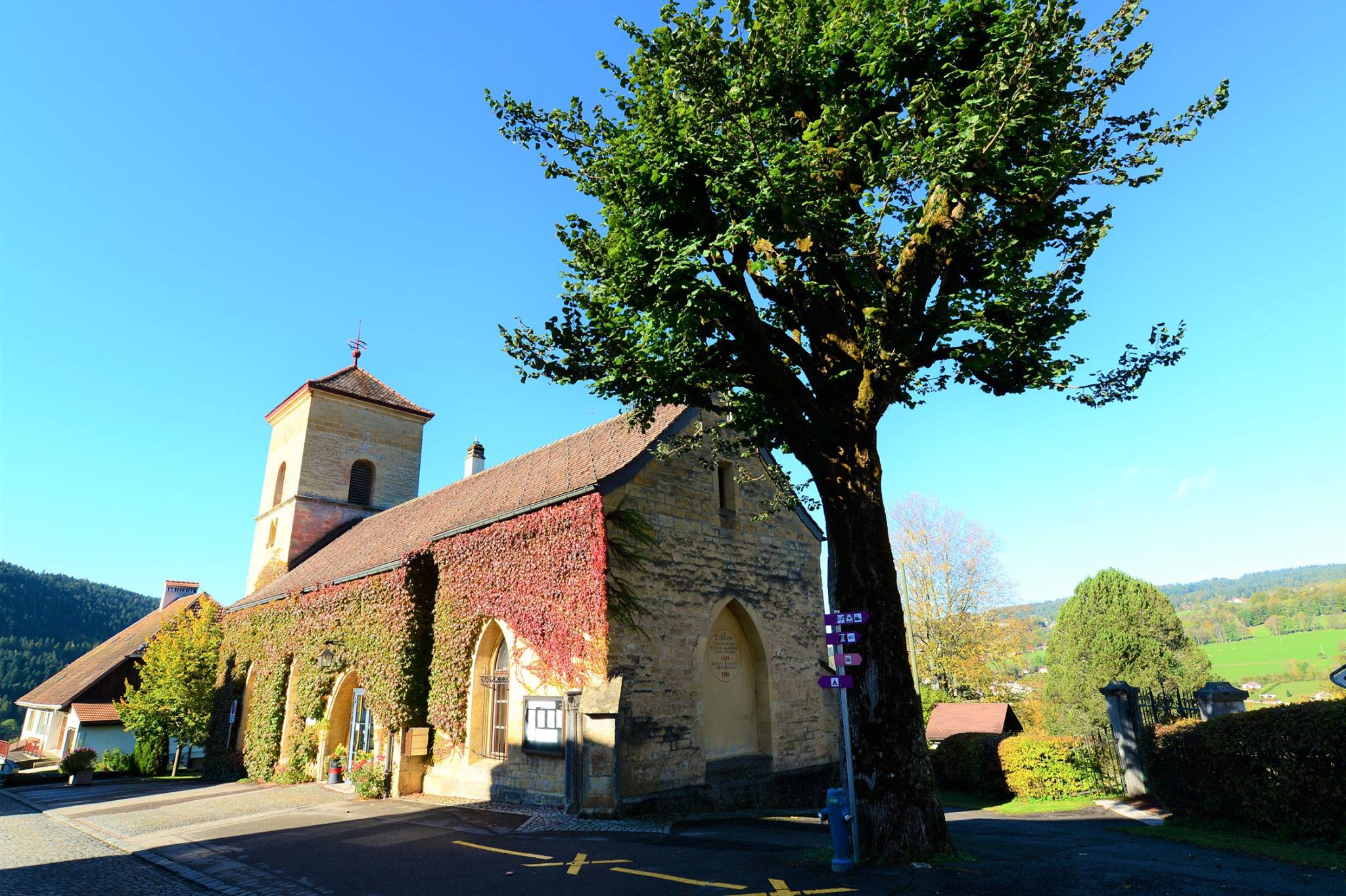 16796940_1743802832615374_7359949209209825705_o