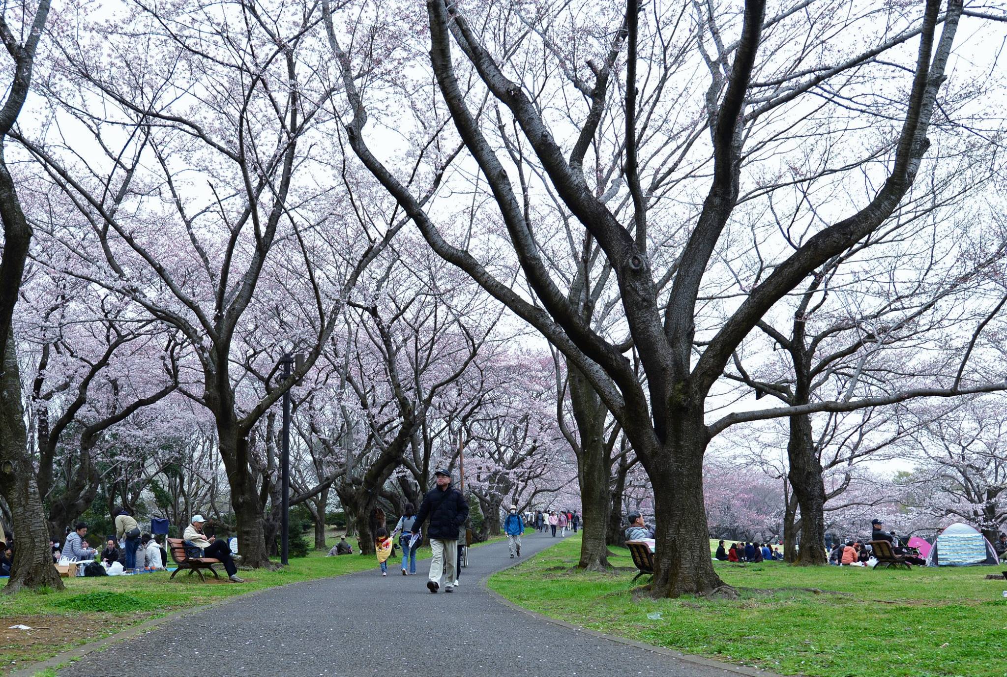 16796969_1743289872666670_1700024563964175528_o