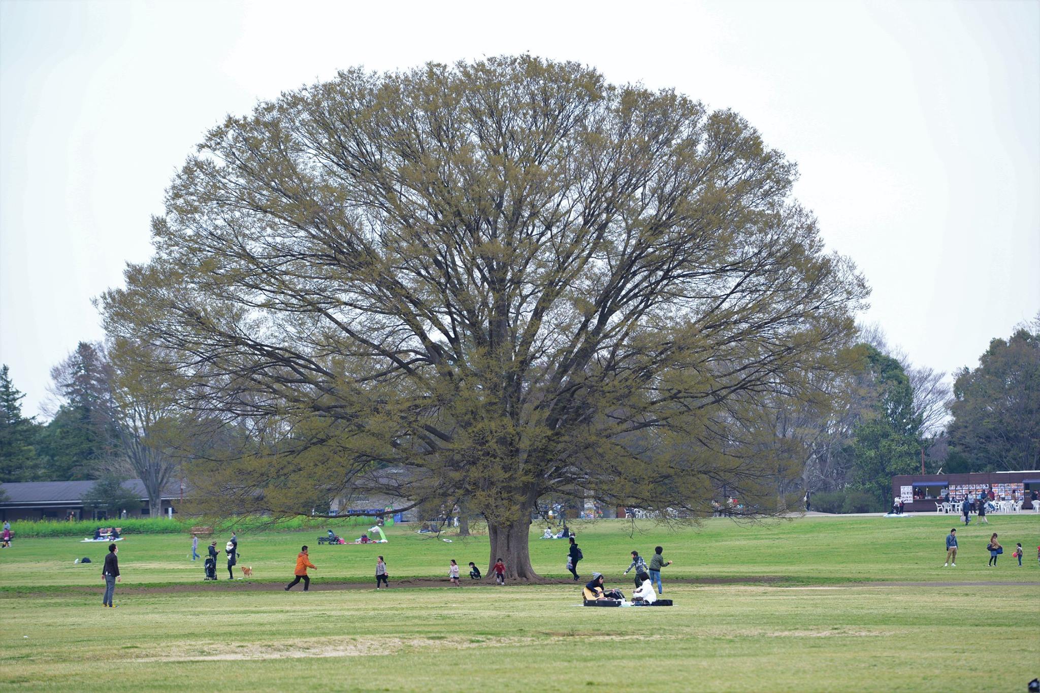 16797273_1743289756000015_1346334567337017758_o