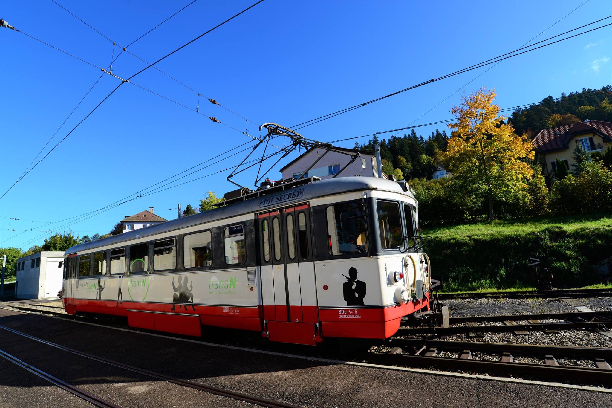 16797273_1743802529282071_1070895300750200231_o