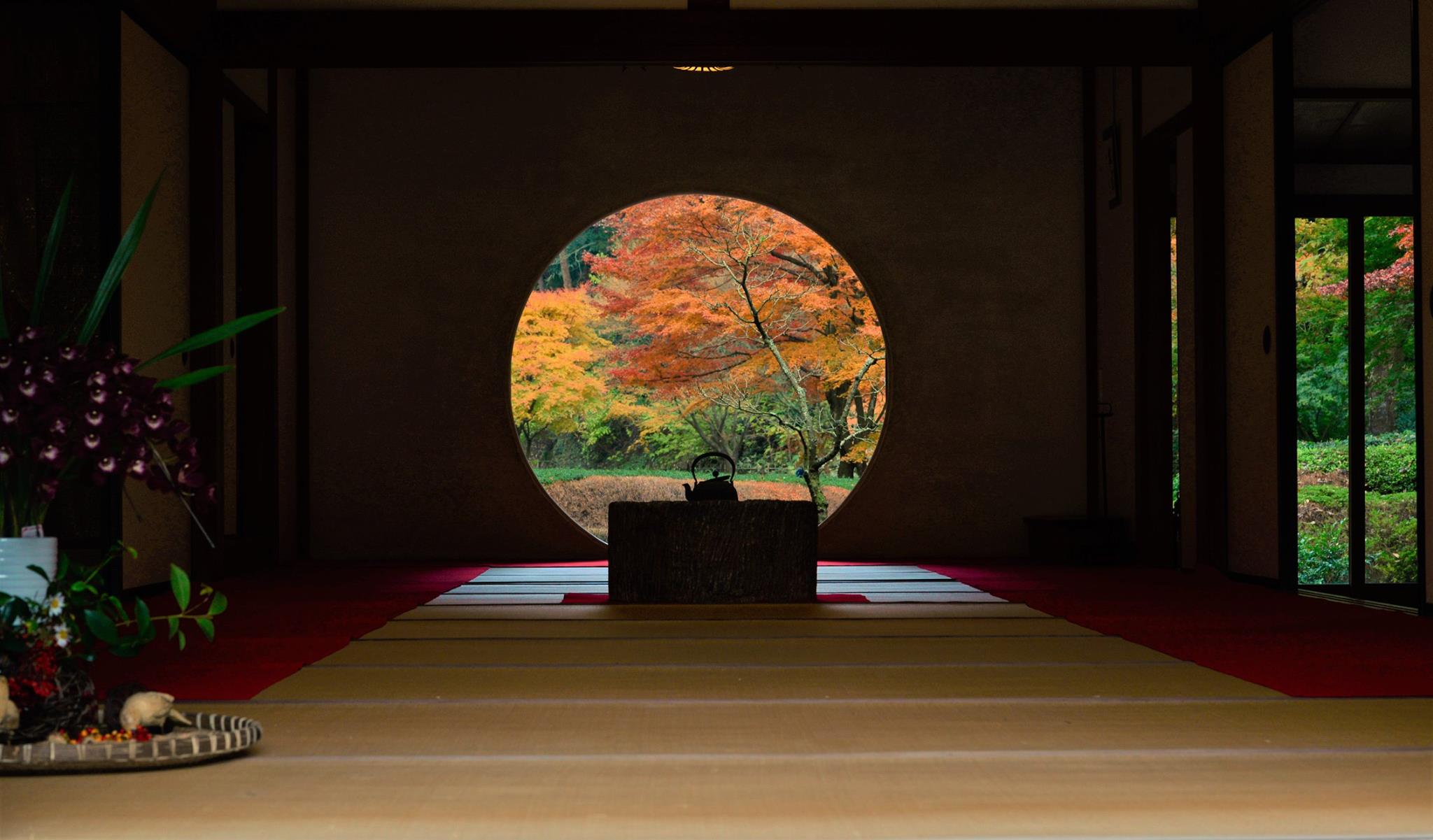 16797473_1740022209660103_3498944405567849734_o