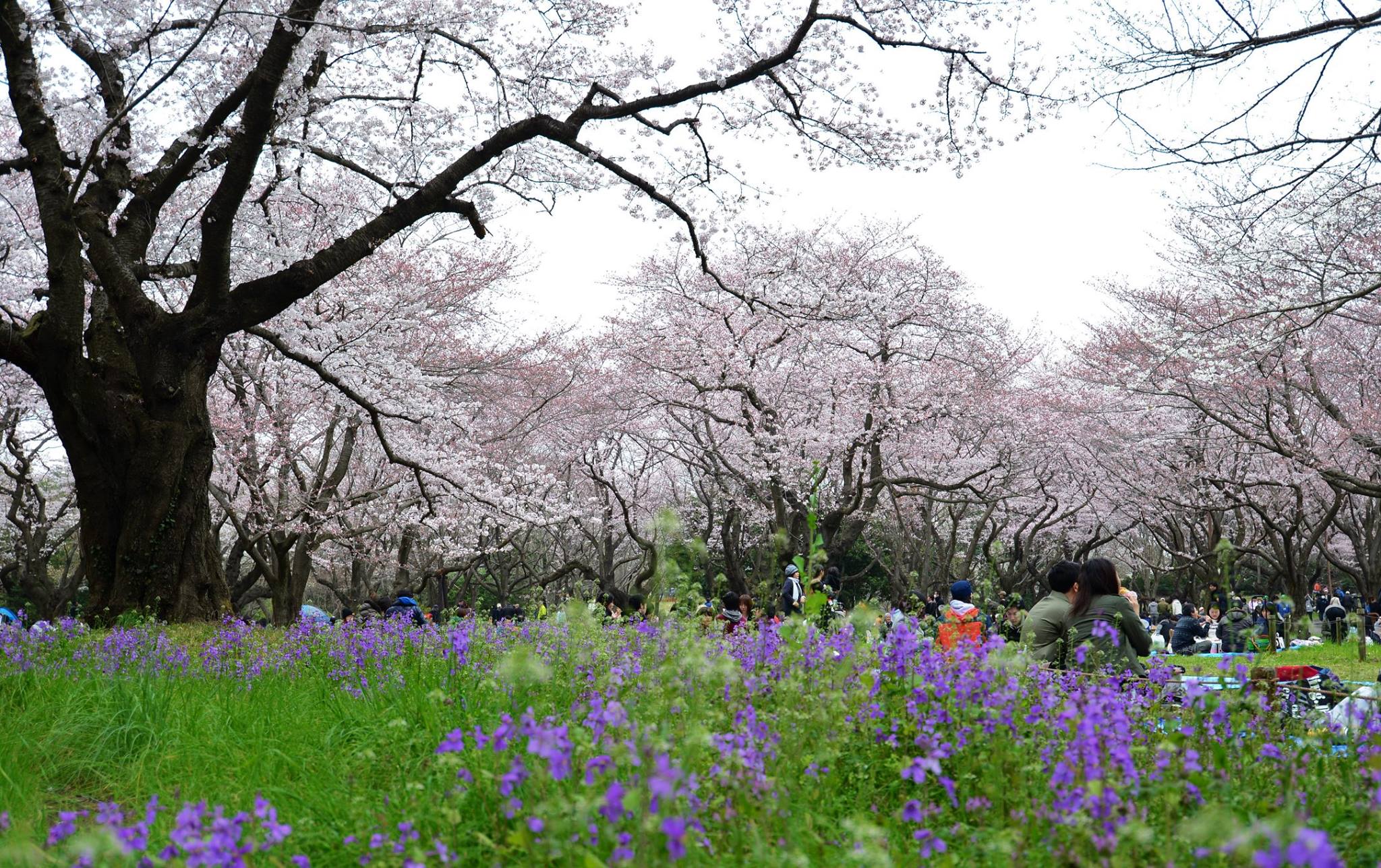 16797680_1743289849333339_676774037418942539_o