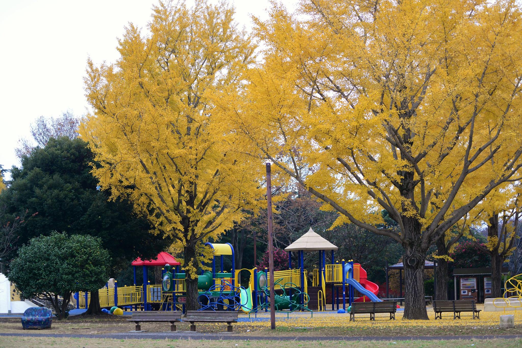 16797742_1743289539333370_1286603223637535639_o