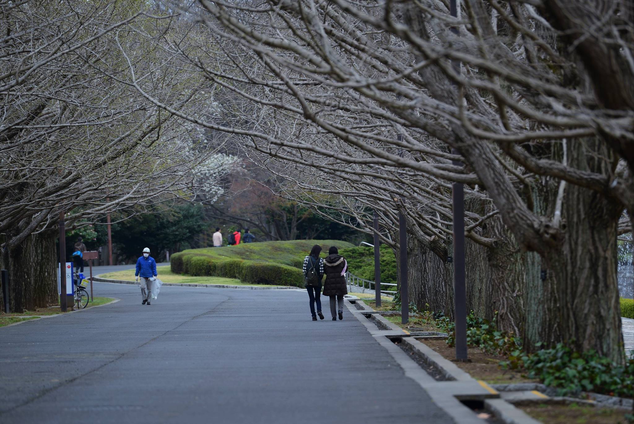 16797917_1743289646000026_5562475805831305572_o